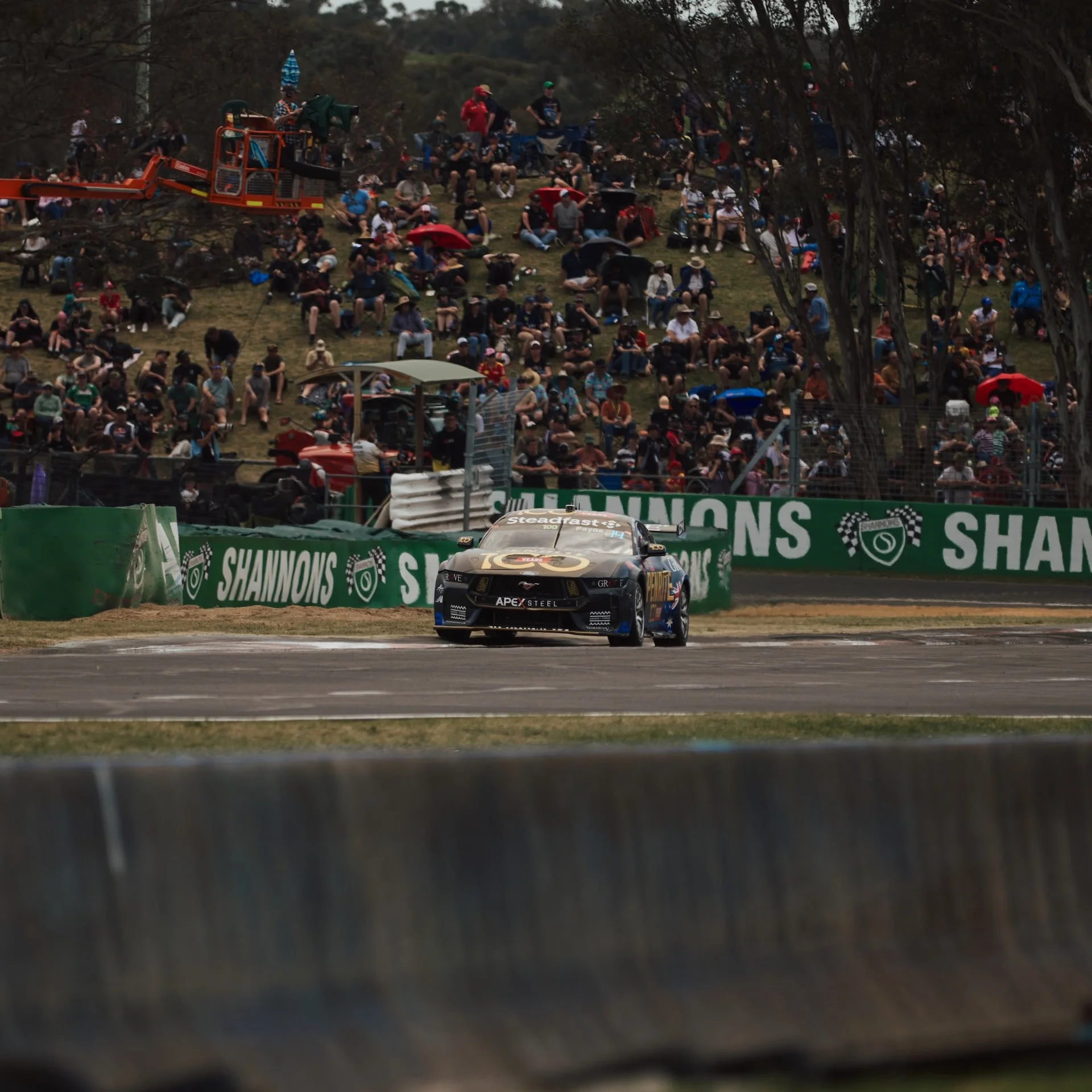 Bathurst-2025-0497 1.JPG