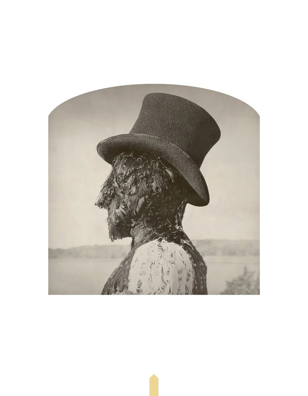 Kahn-Selesnick_100Views-74_featherman(p).jpg