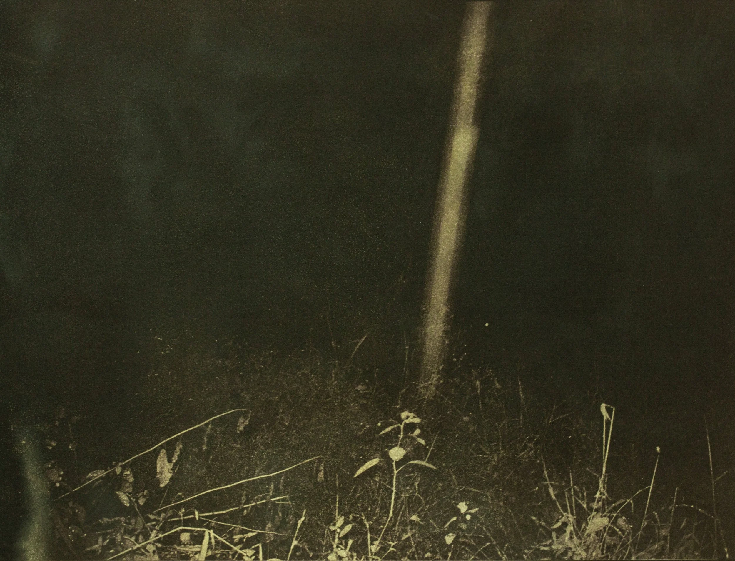 Salomon, Alyssa EK000318 2015-09-25 JRP.jpg