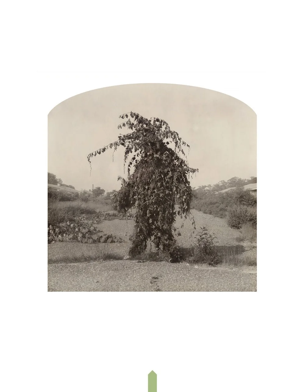 Kahn-Selesnick_100Views-45_green_god(p).jpg