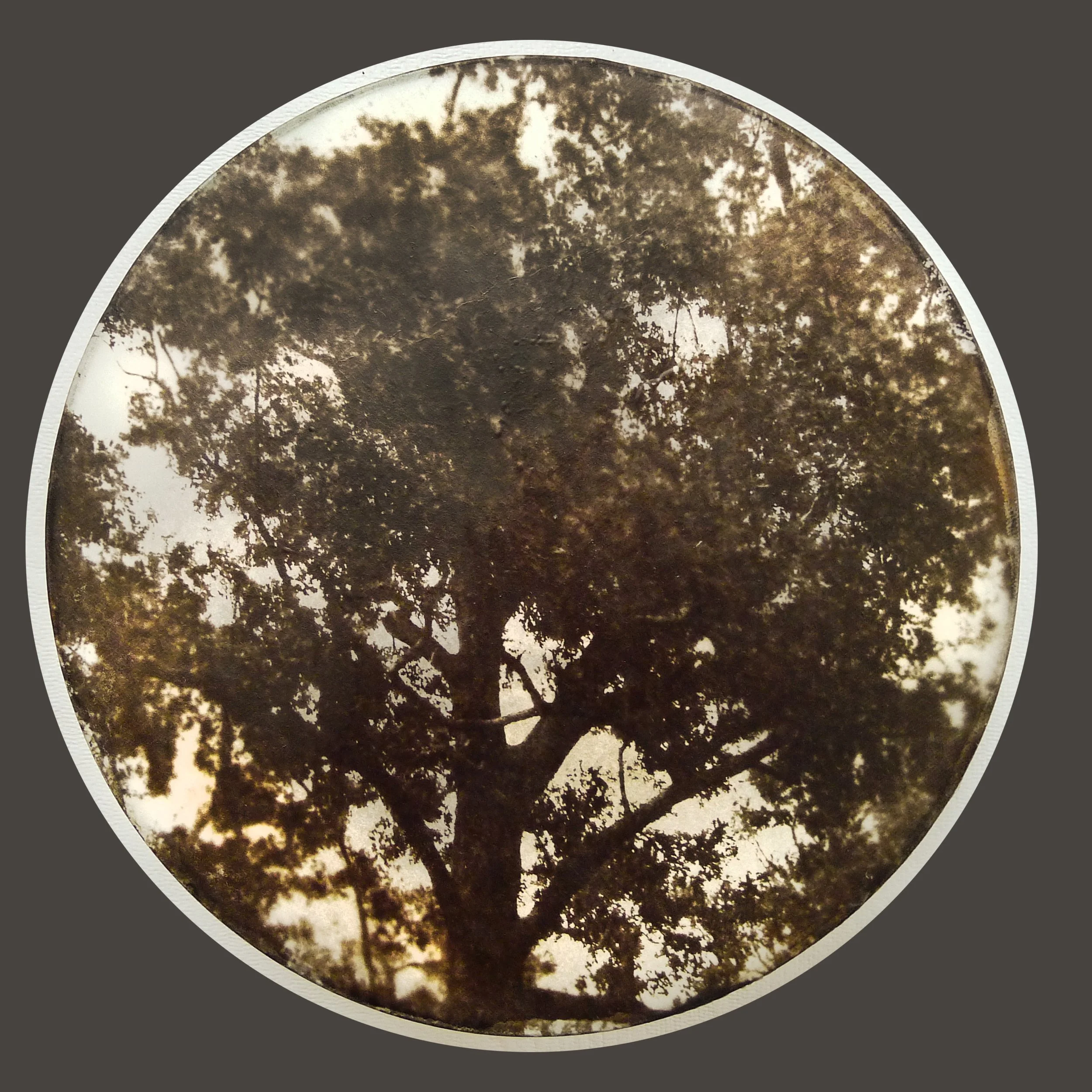 UnBound4_Salomon - from Mind_s Eye Concept 7.jpg