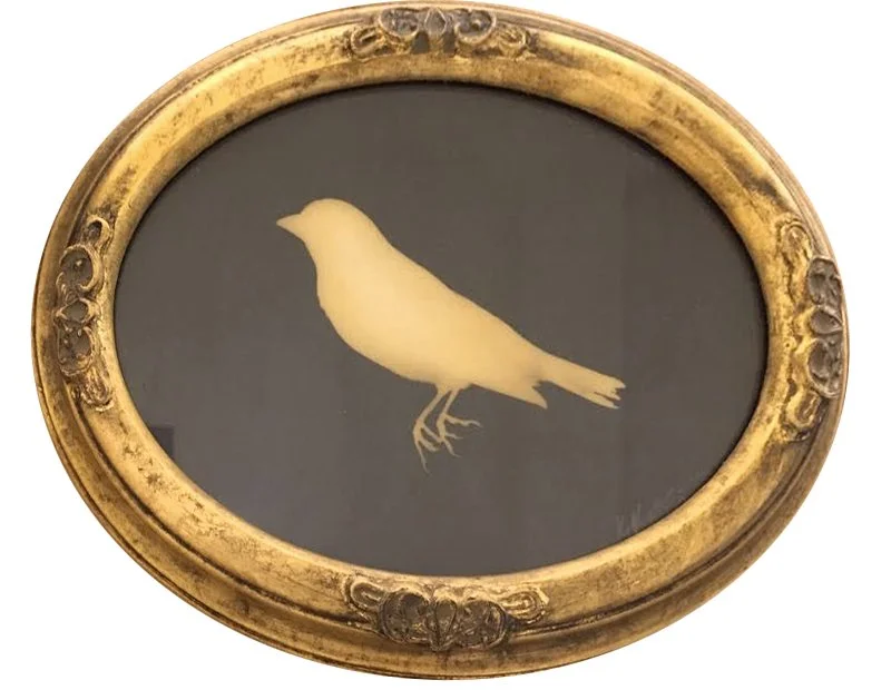 UnBound2_Breakey_LesserGoldfinch.jpg