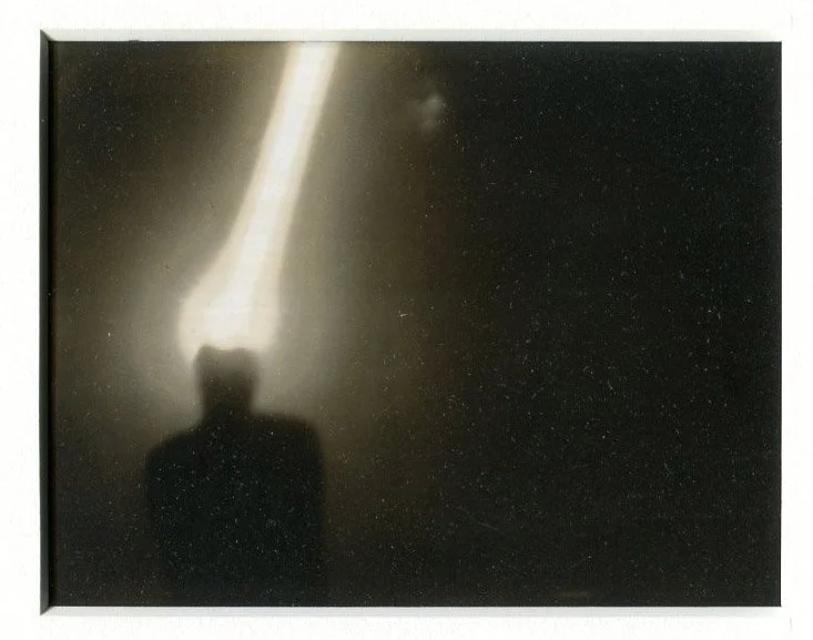 Rentsch_Animals-2_Untitled-08.jpg