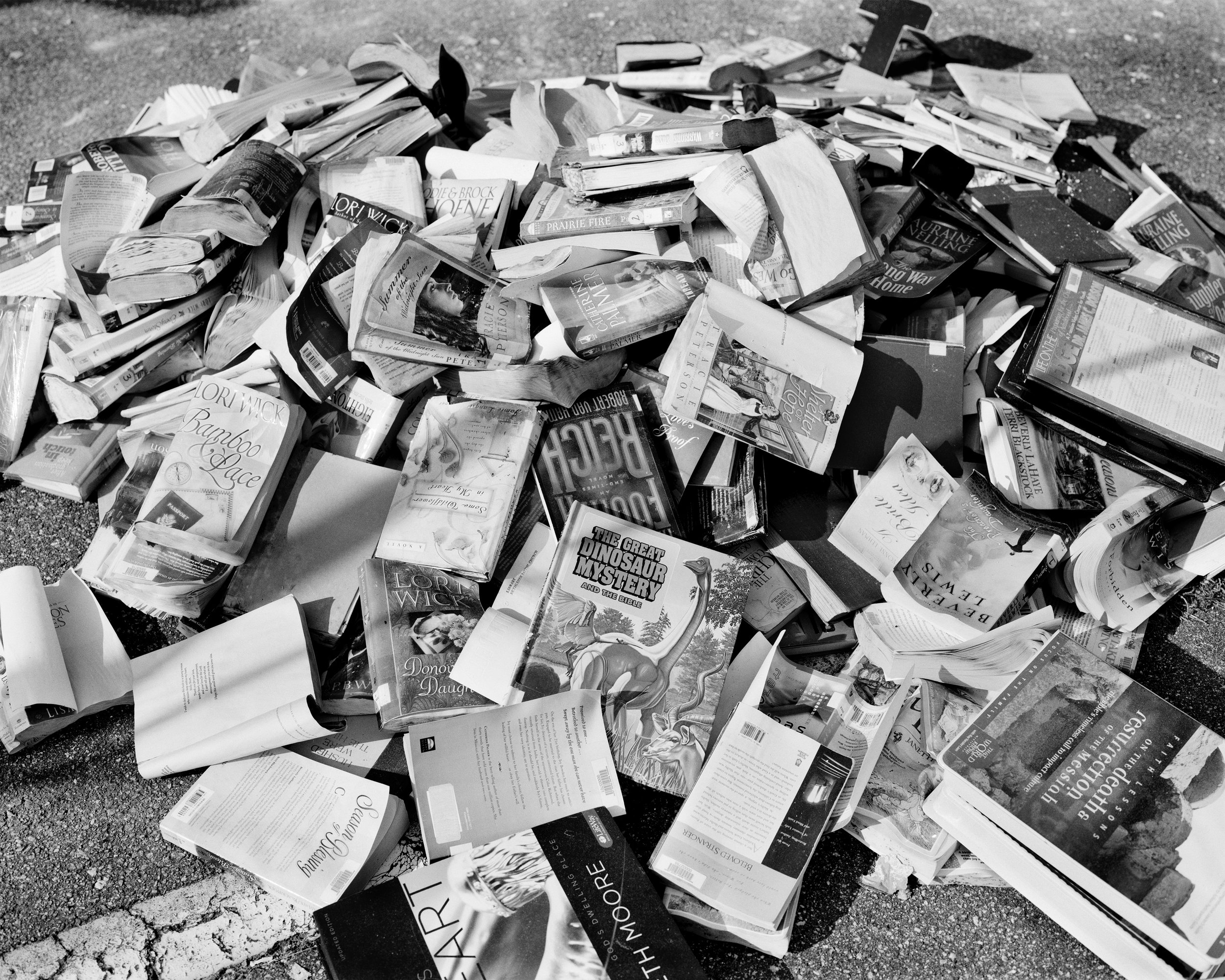 UnBound6_Canipe_ScorchedBooks.jpg