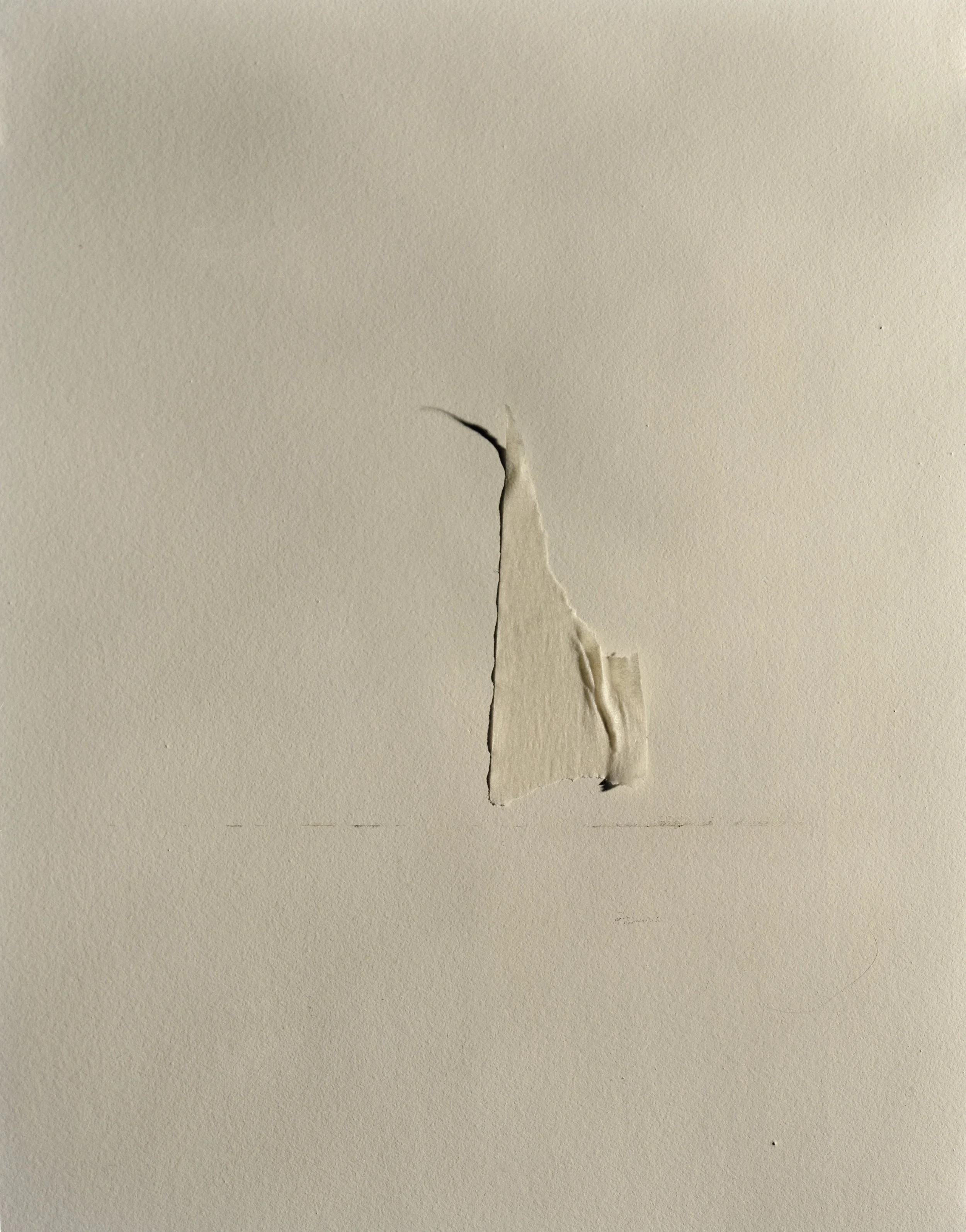 Pecchio.Pamela-Habitation_I83-4-maskingtape.jpg