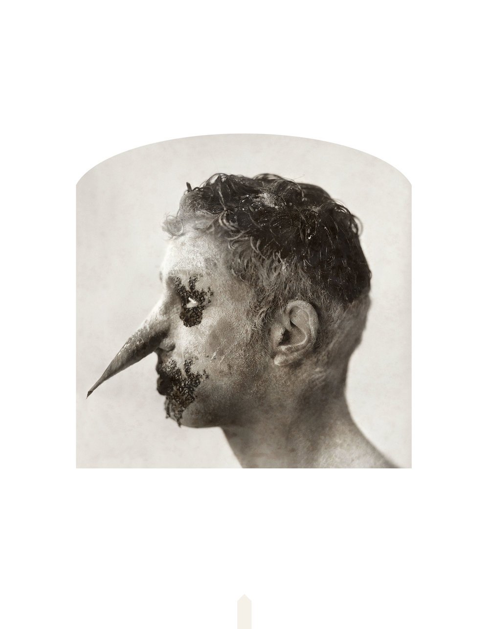 Kahn-Selesnick_100Views-19_the_thieving_magpie(p).jpg