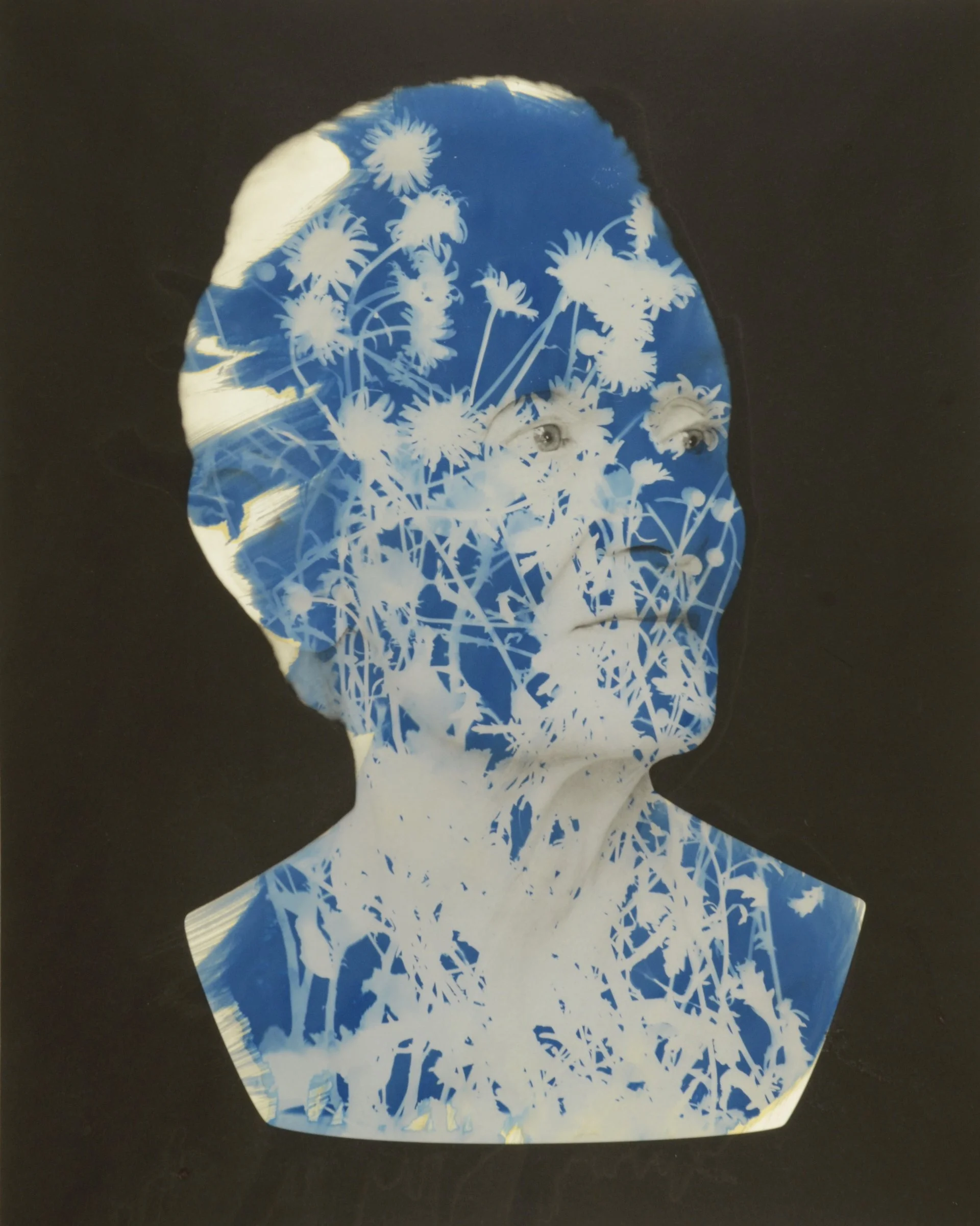 UnBound2_CiurejLochman_22BellisPerennis_D.jpg