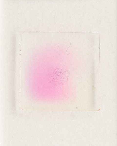 Worsham.Susan__BreadBacteriaStain.jpg