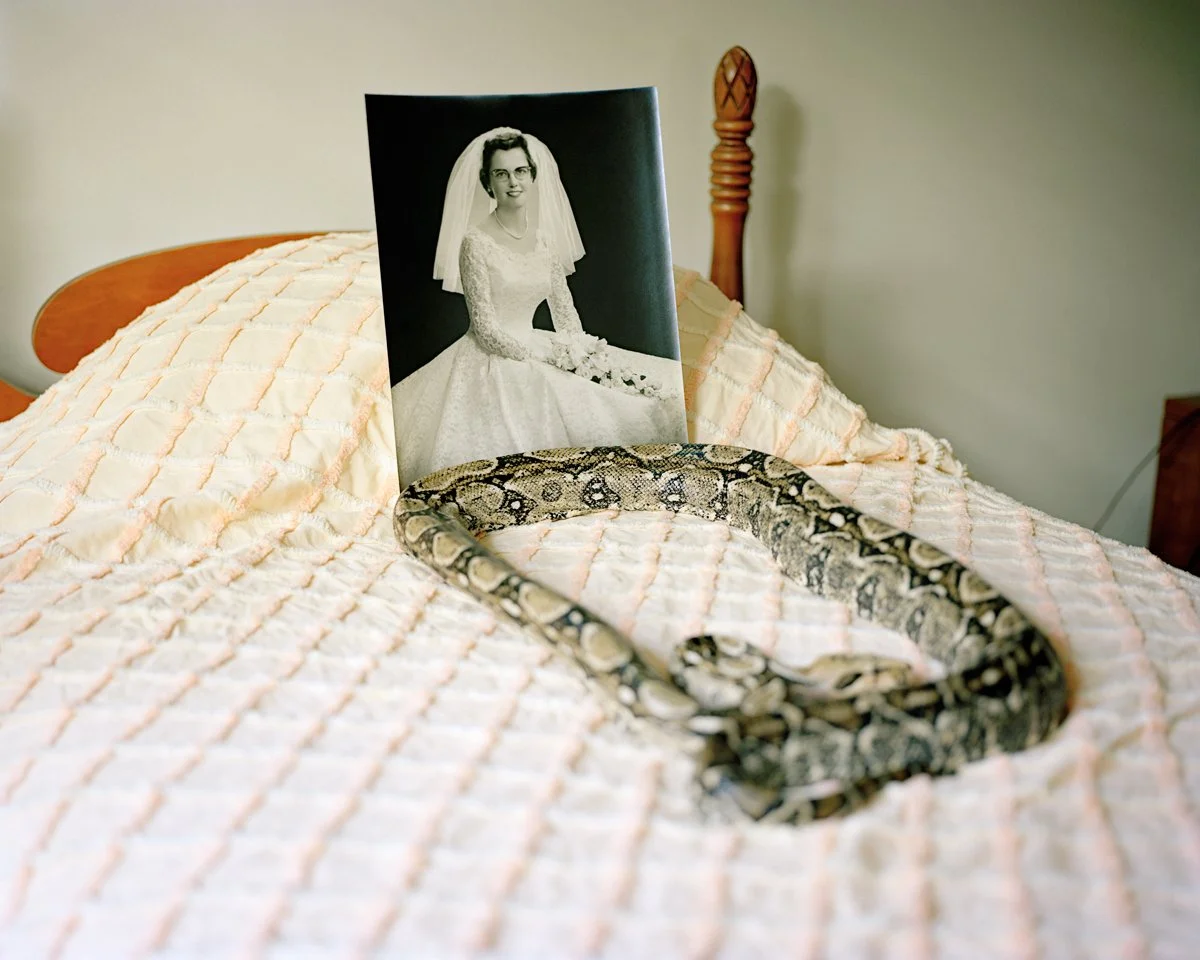 Worsham.Susan__SnakesonMyChildhoodBed.jpg