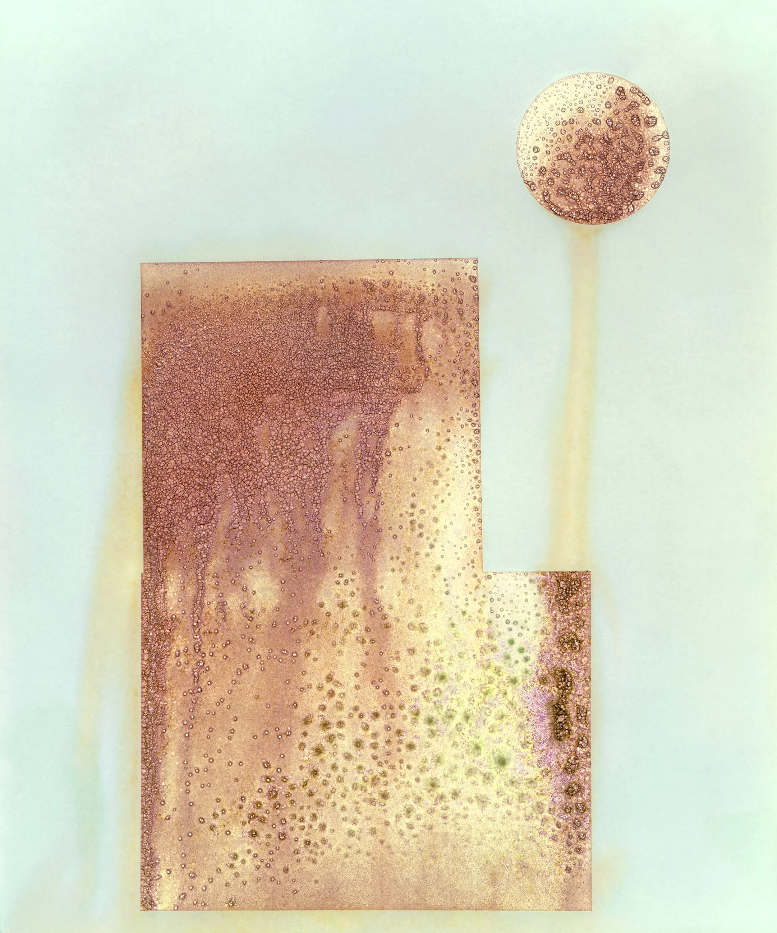 Brittany Nelson, 2015 UnBound4! Acquisition