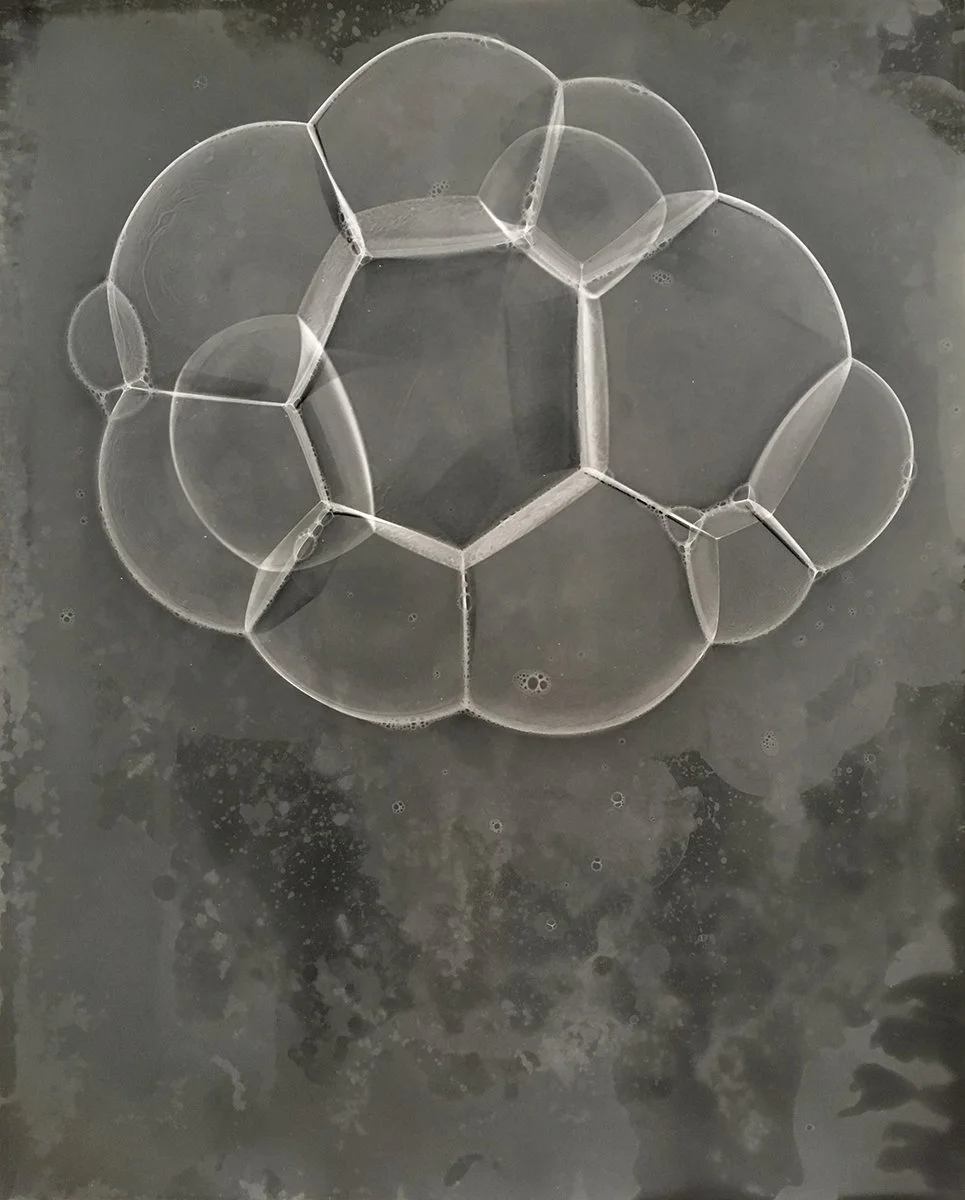 McDonald.AnneArden_Molecule 20x16.jpg