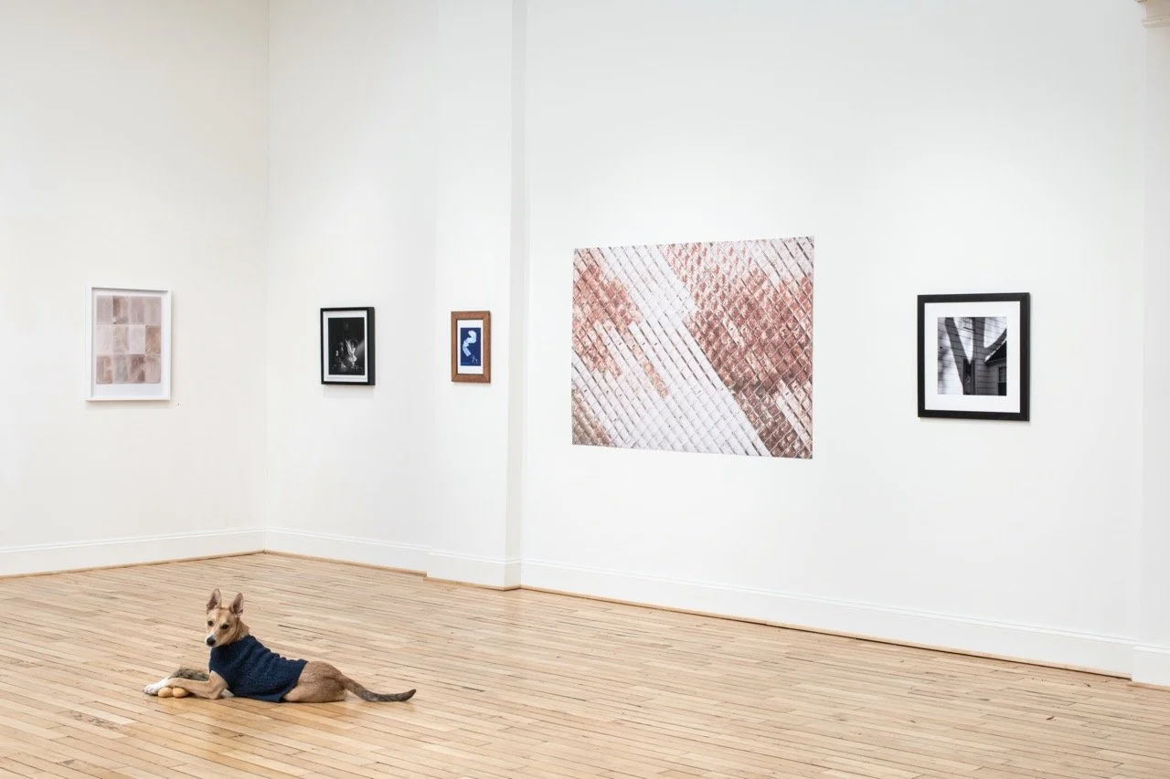CandelaGallery-RichmondVirginia-PhotoByTerryBrown-031.jpeg