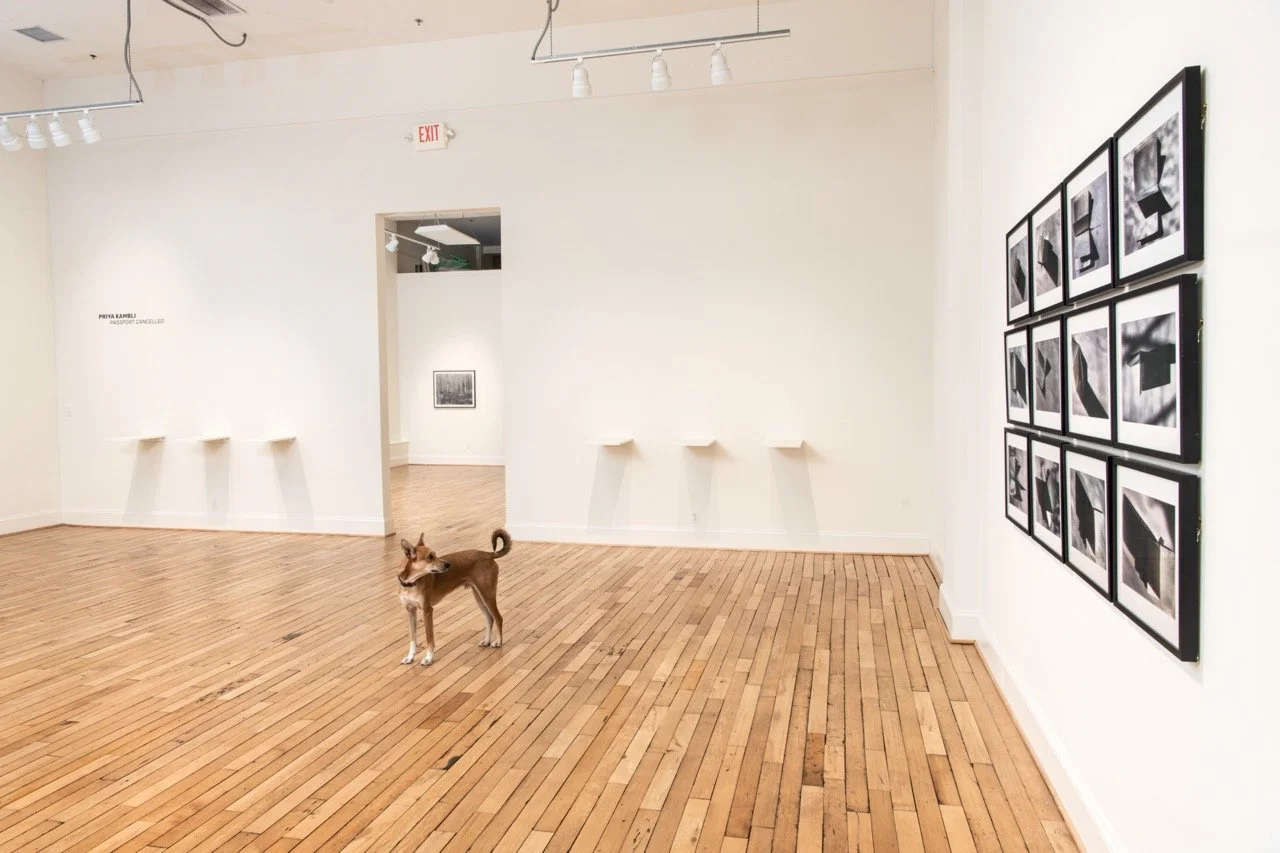 CandelaGallery-RichmondVirginia-PhotoByTerryBrown-032.jpeg
