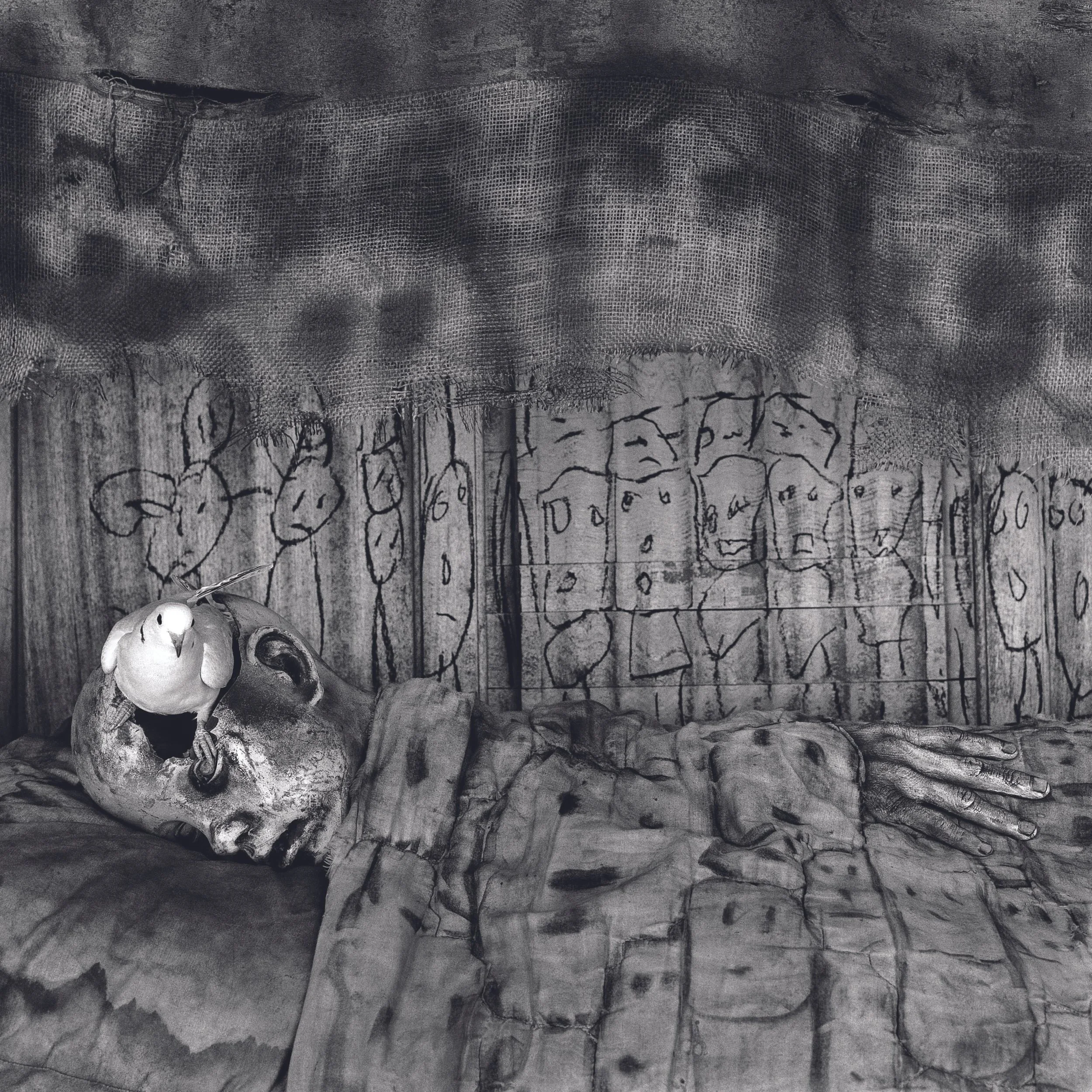 BlackForest_ballenDeathbed, 2010,  6076.jpeg