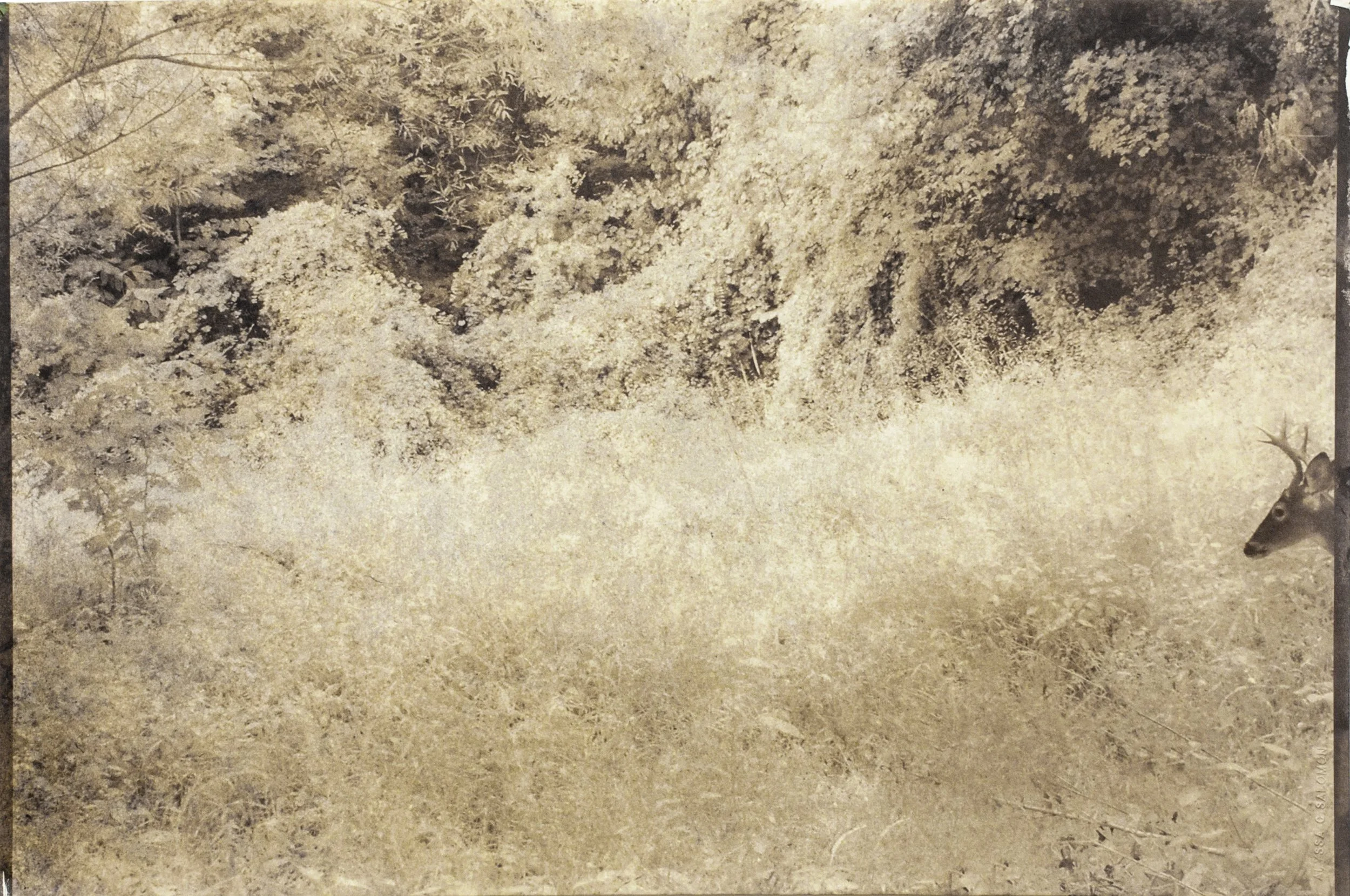 EK000114-2 2015-09-21 JRP.jpg