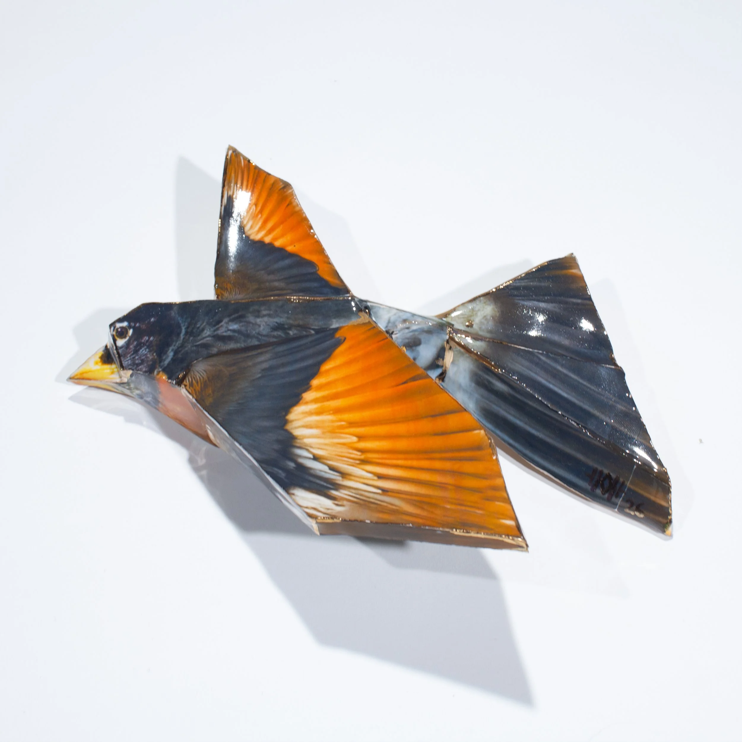 Lenker_Robin-07.jpg