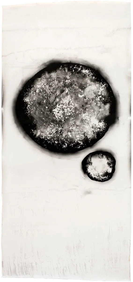 McDonald.AnneArden_SCROLL.Fragility.jpg