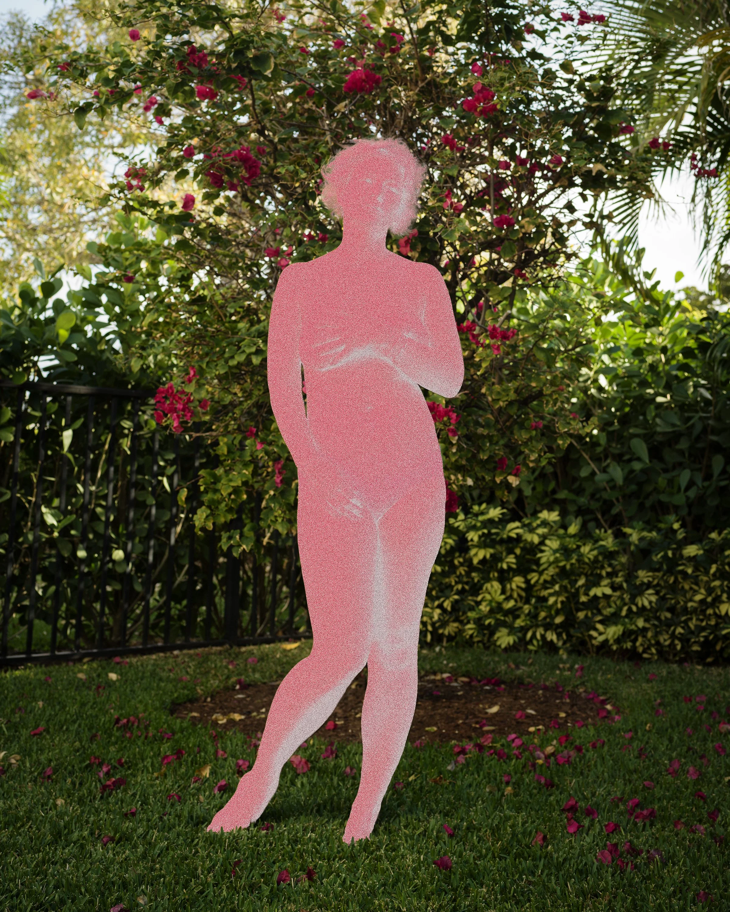 UnBound12_Libert.Elizabeth-ByTheBougainvillea.jpg