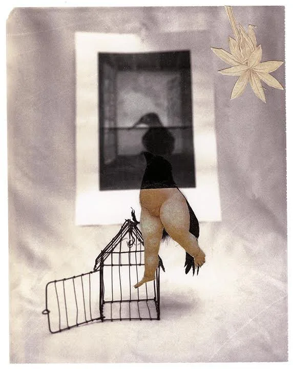 UnBound7_Pierce-Bird.jpg