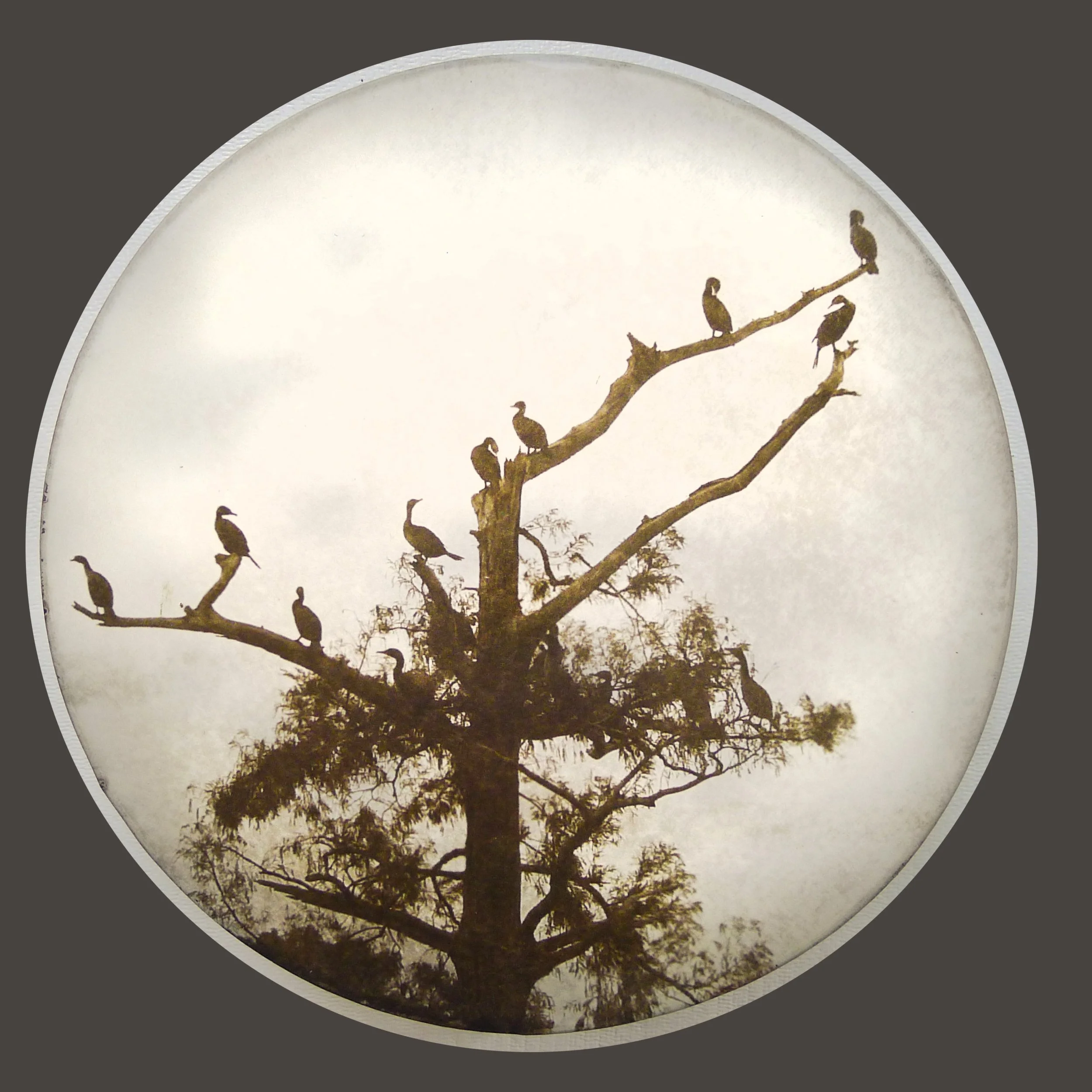 UnBound4_Salomon - from Mind_s Eye Concept 6.jpg