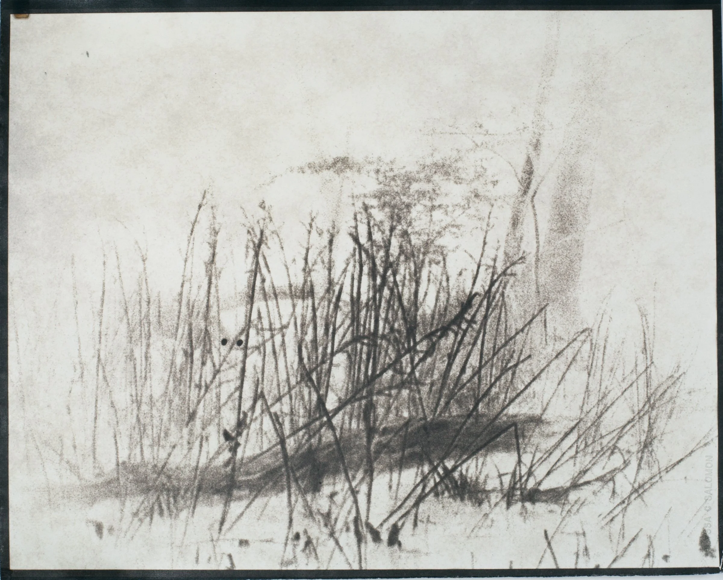 EK000195 2015-11-15 JRP.jpg