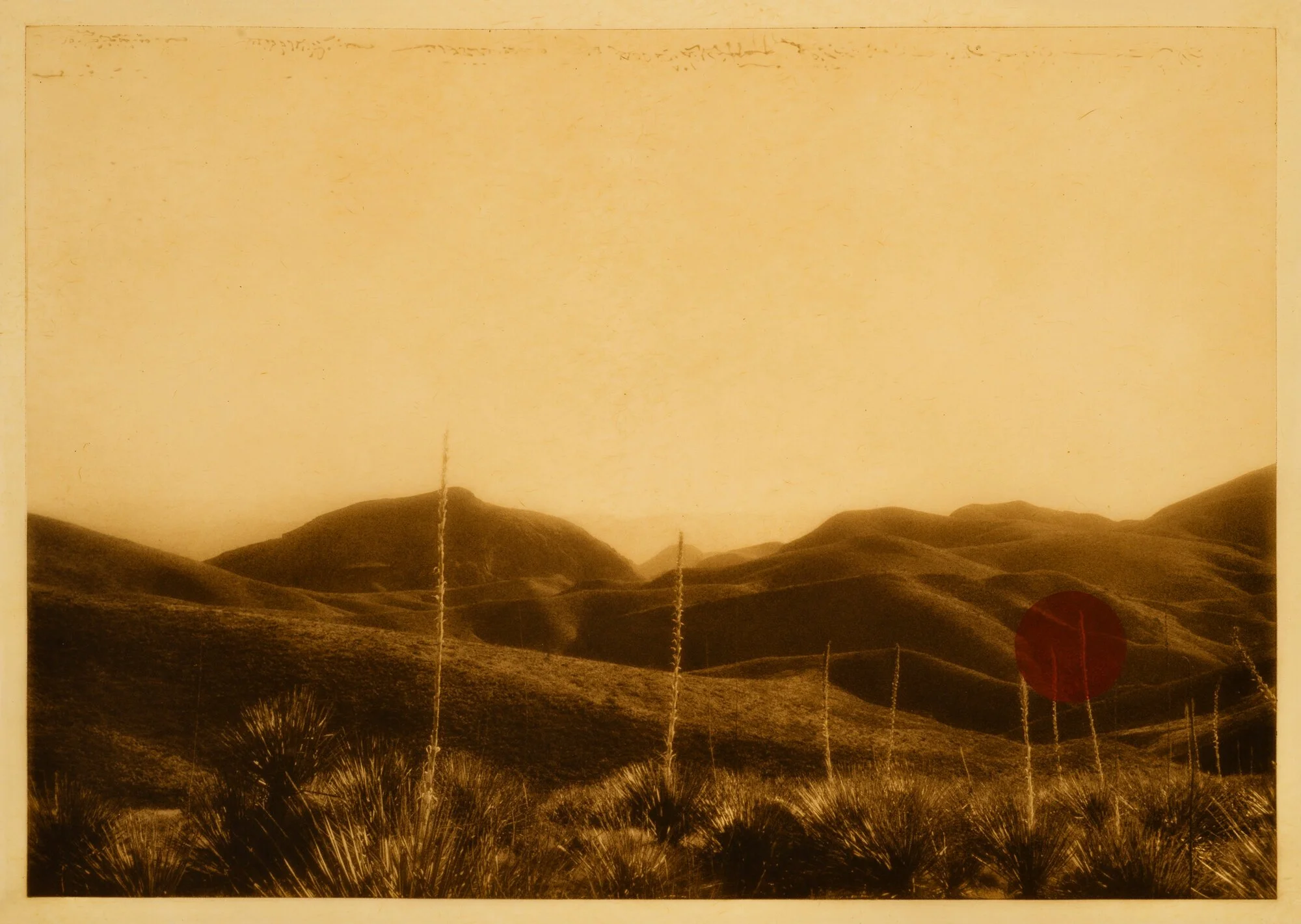 Blackwood_Cienega.jpg