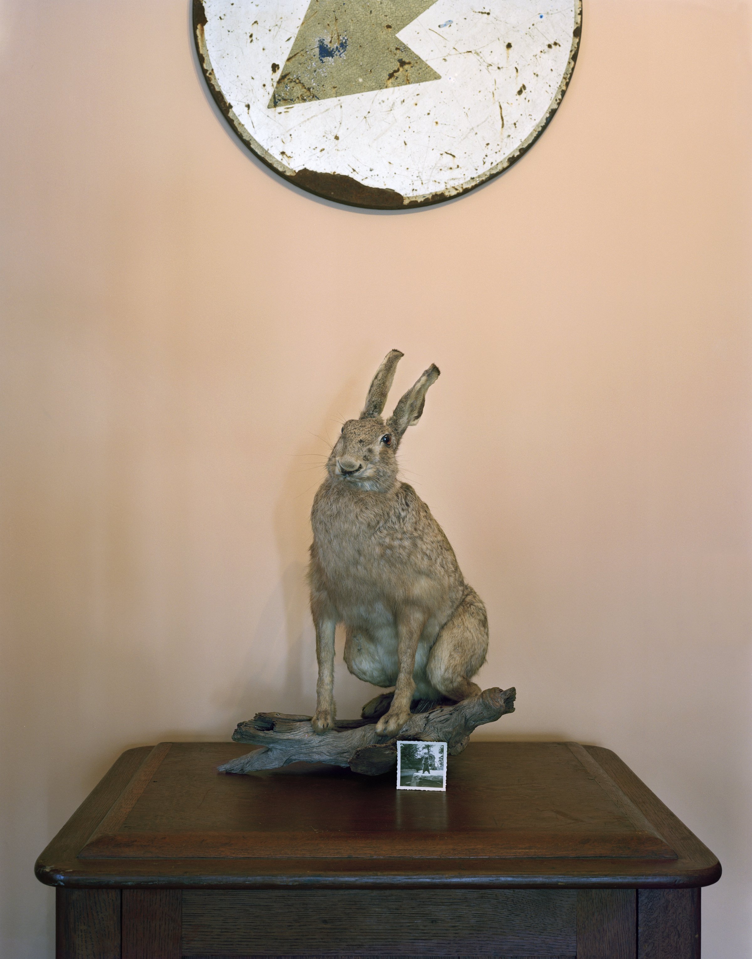 Pecchio.Pamela-Habitation_534-1-hareandbear-master.jpg