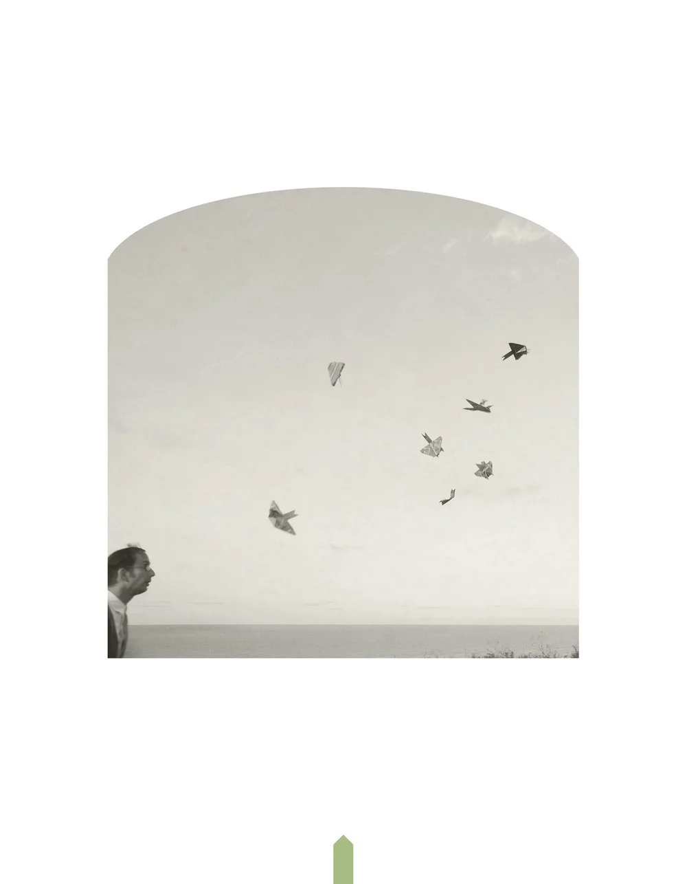Kahn-Selesnick_100Views-49_paper_birds(p).jpg