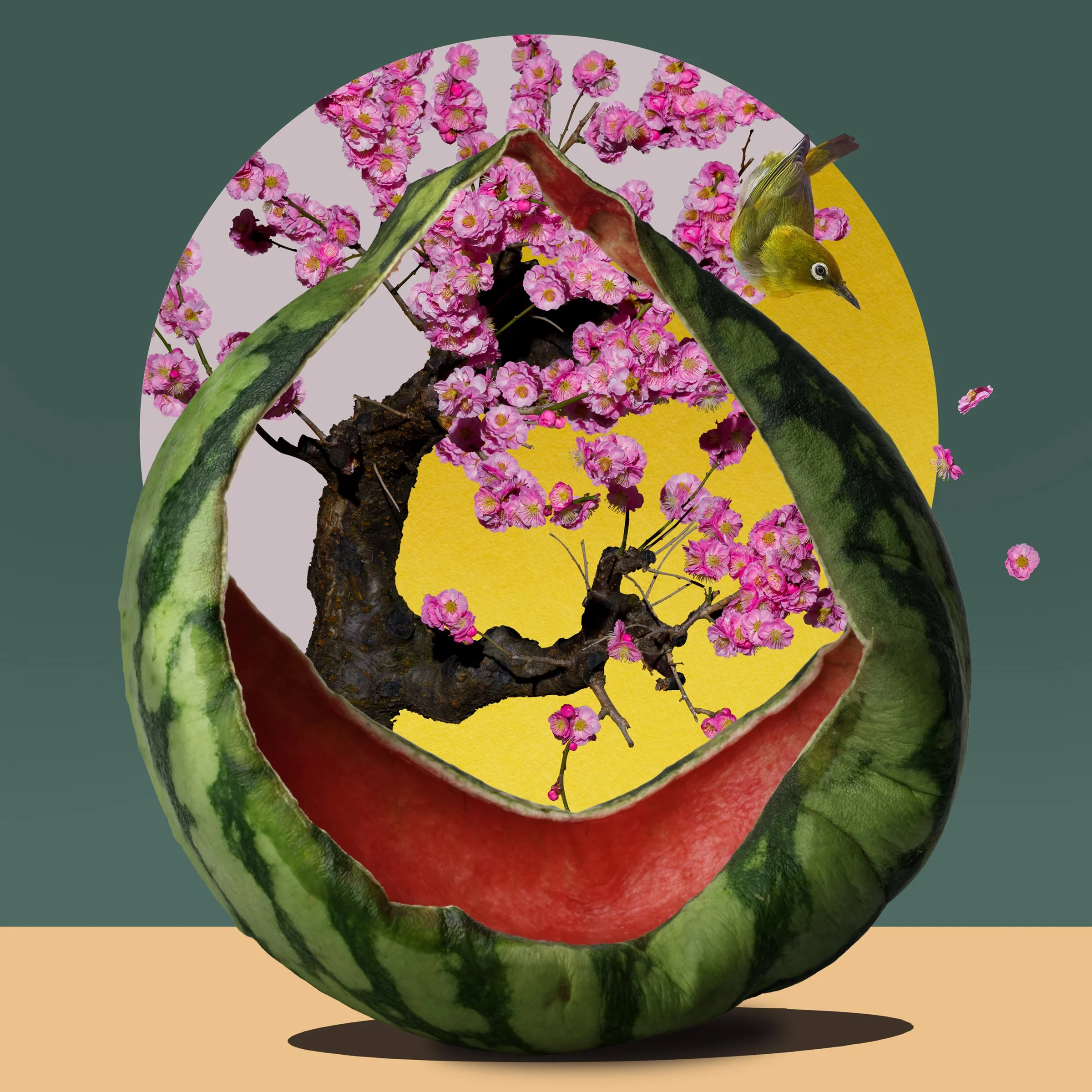Shinya Masuda, 2020 UnBound9! Acquisition