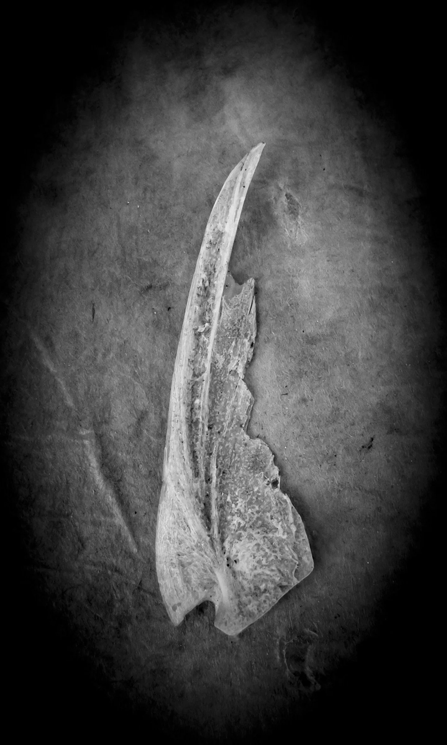 UnBound3_IMG_0283-Edit-Edit-2-Edit.jpg