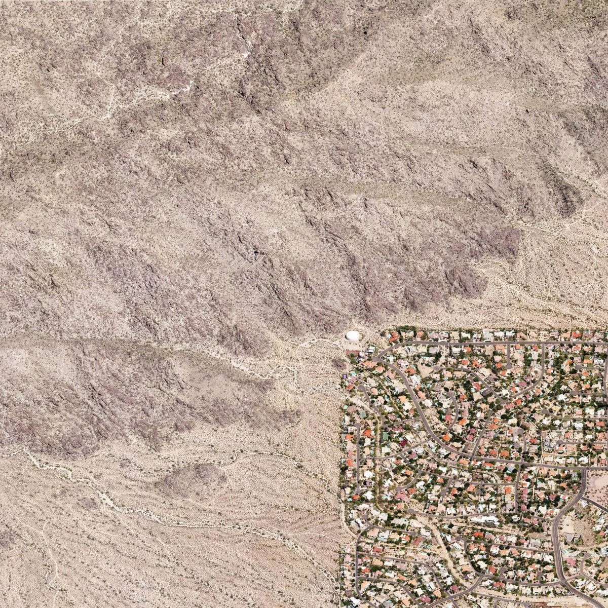 Leivick.Daniel_Heliopolis-3_1encroachment_small__3.jpg