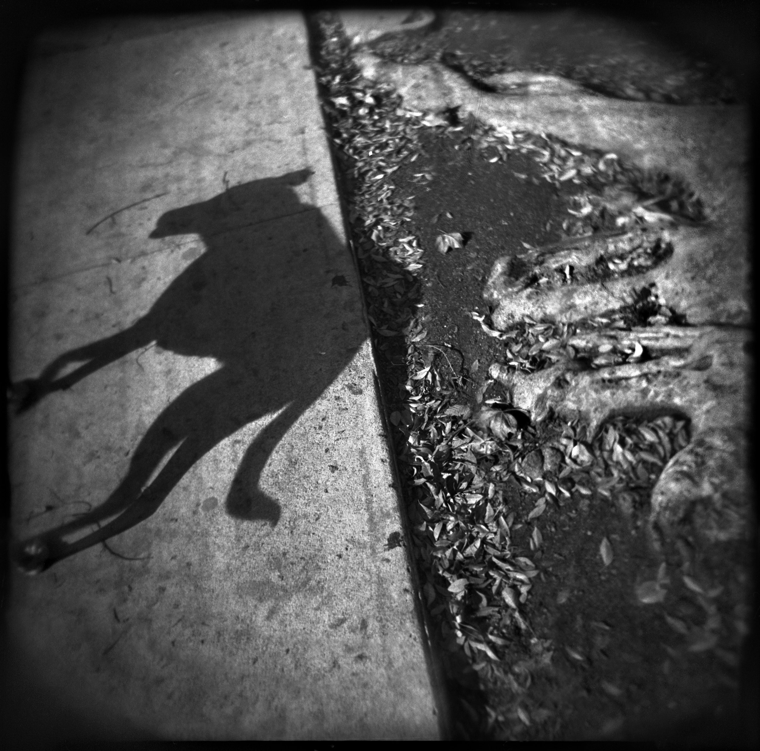 UnBound2_Alleman_EagleRock.jpg