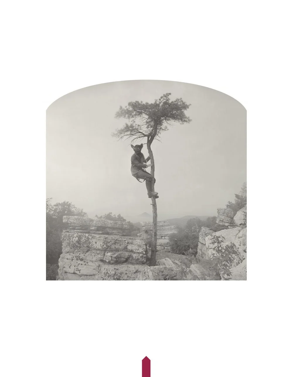 Kahn-Selesnick_100Views-54_bat_in_a_tree(p).jpg