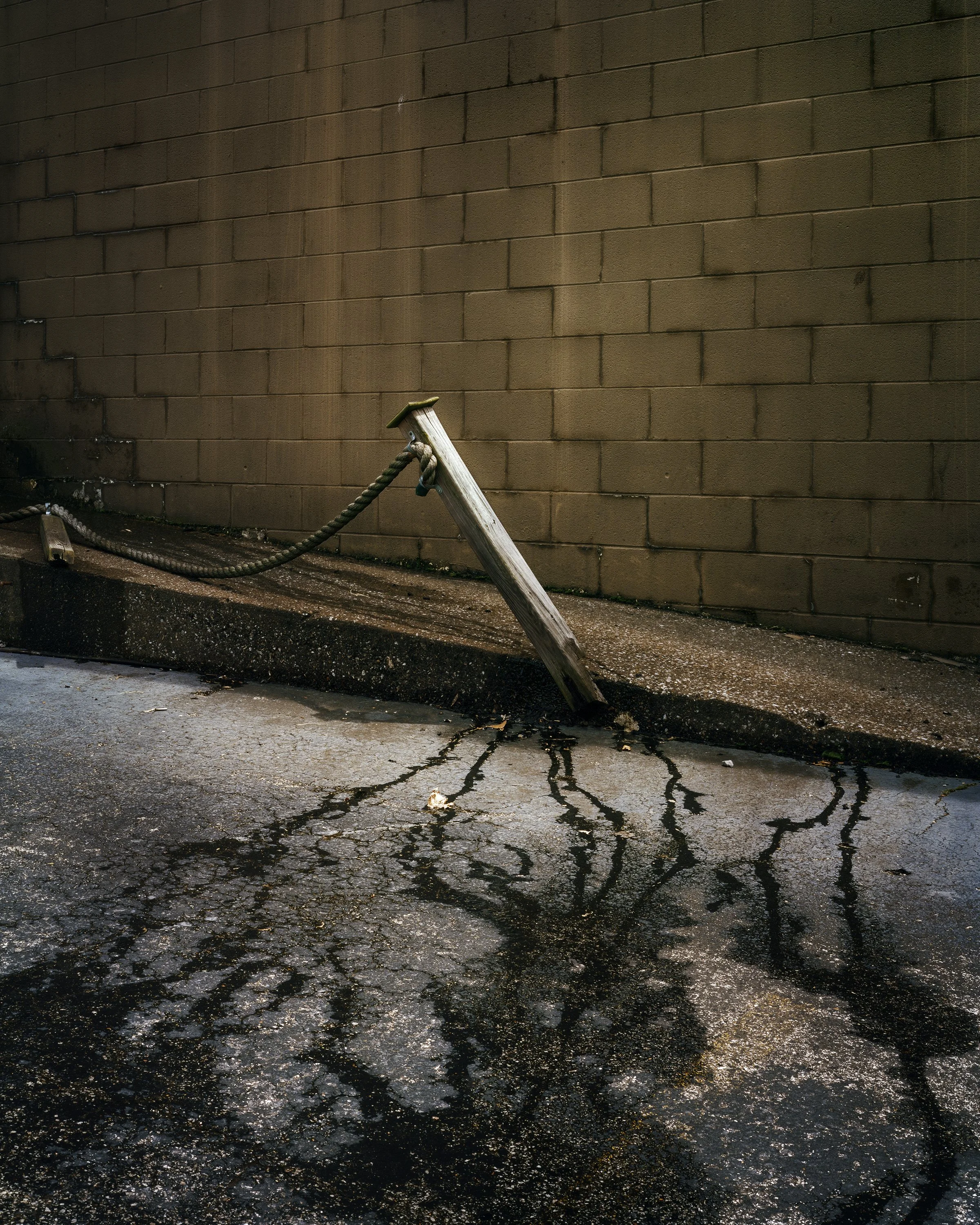 UnBound7_Rocheleau-BrokenStake.jpg