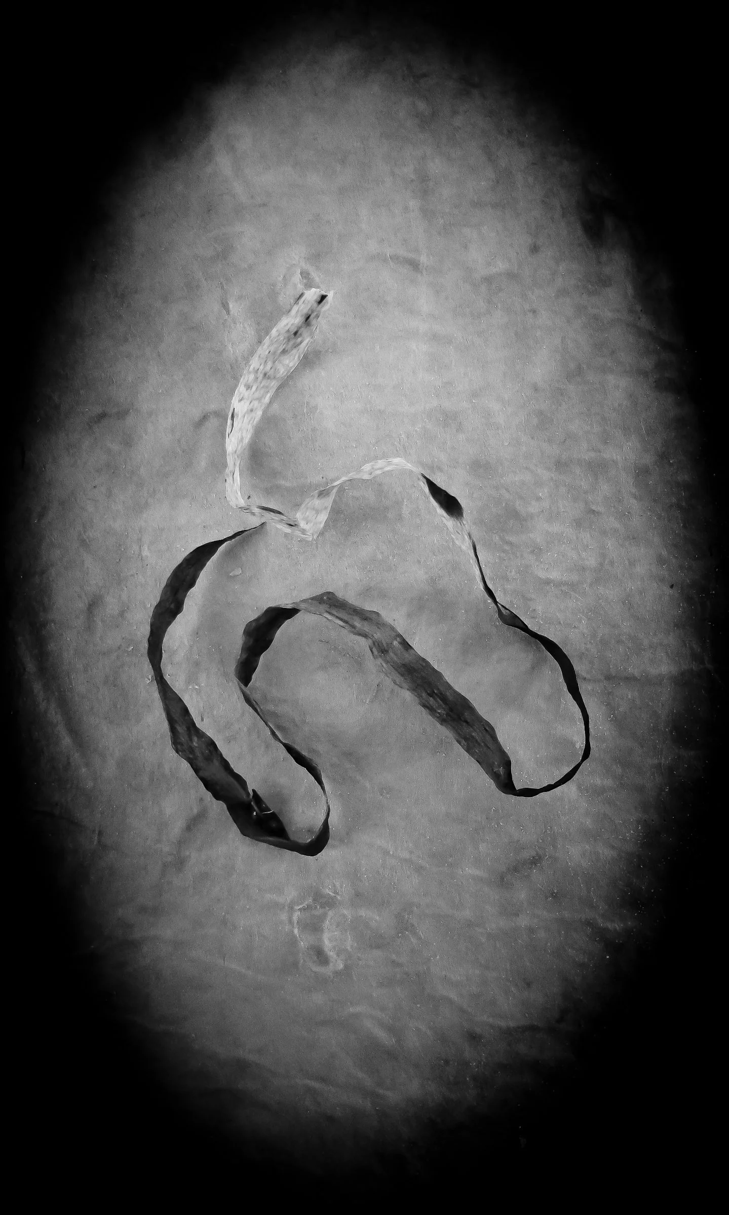 UnBound3_IMG_0383-Edit-Edit.jpg