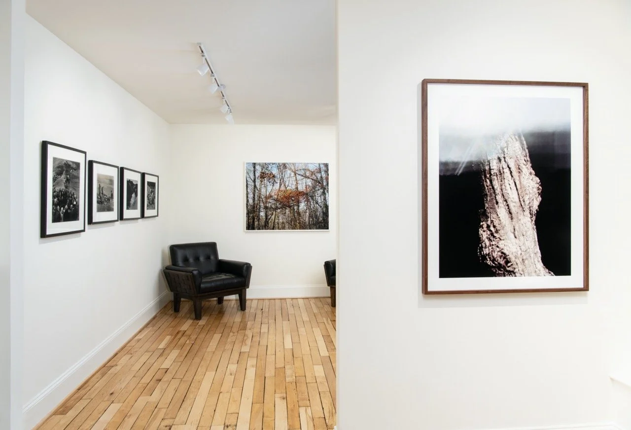 CandelaGallery-RichmondVirginia-PhotoByTerryBrown-013.jpeg