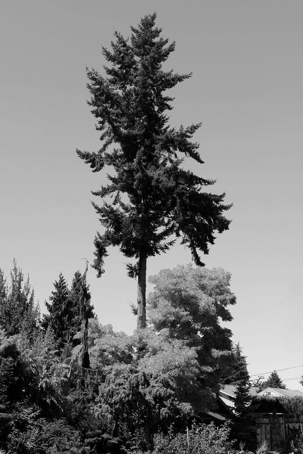UnBound7_Feinstein_1.jpg