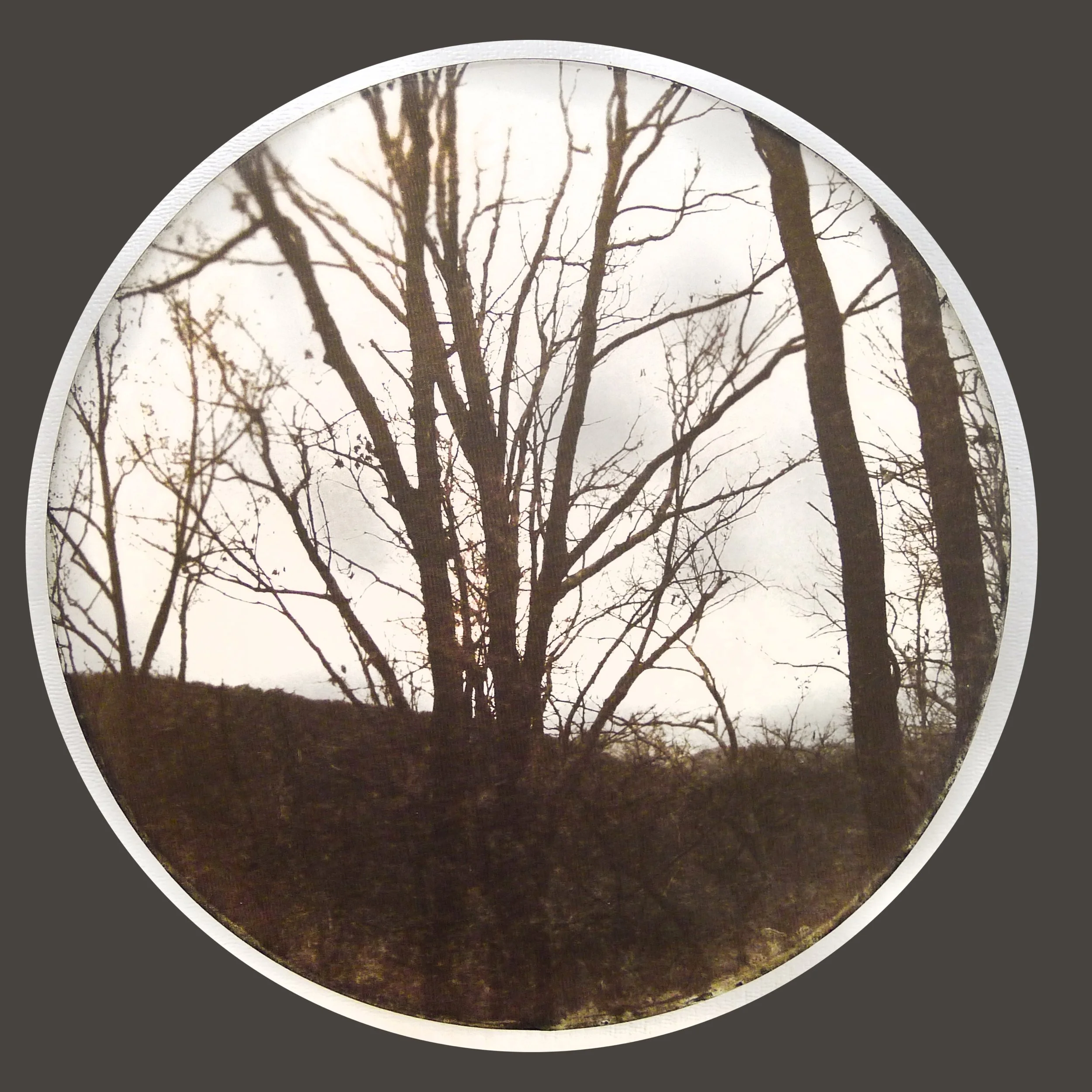UnBound4_Salomon - from Mind_s Eye Concept 3.jpg