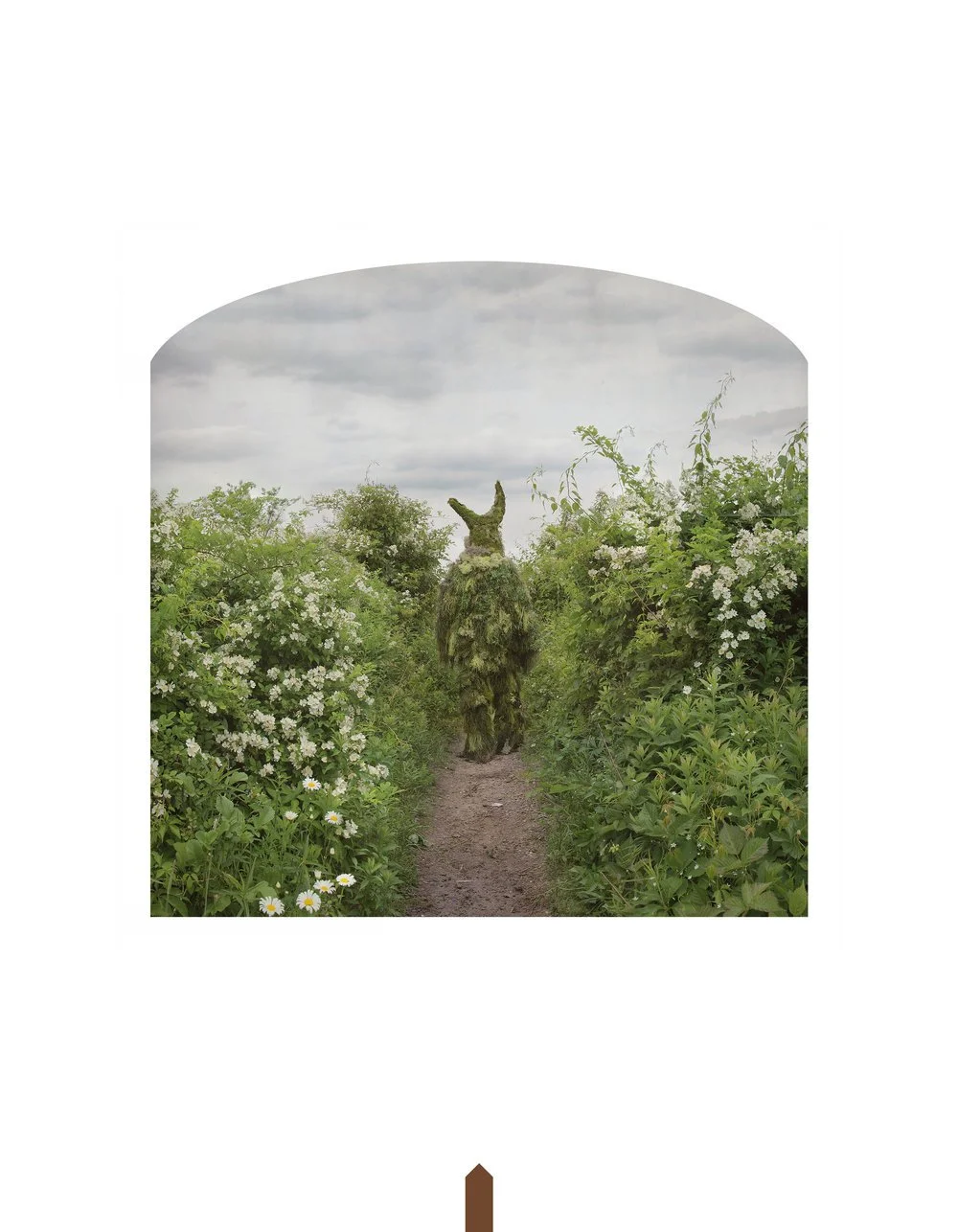 Kahn-Selesnick_100Views-98_herbarium_of_the_greenman(p).jpg