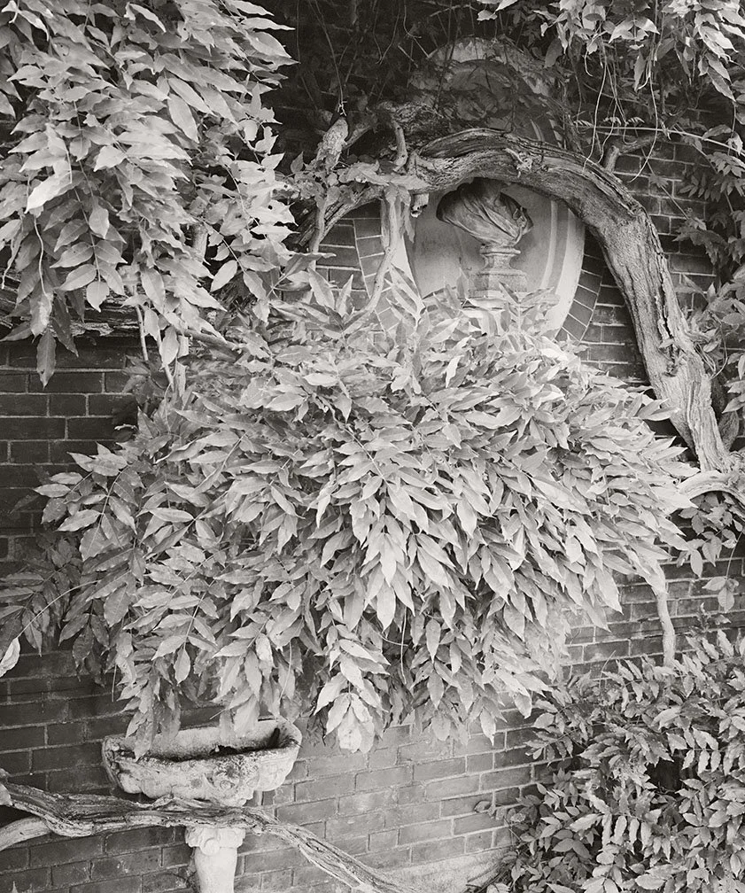 Ashcom_Untitled #25.jpg