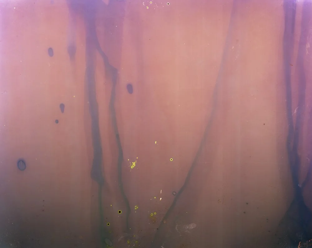 Johnson.Courtney_LightLure-oceanana.jpg