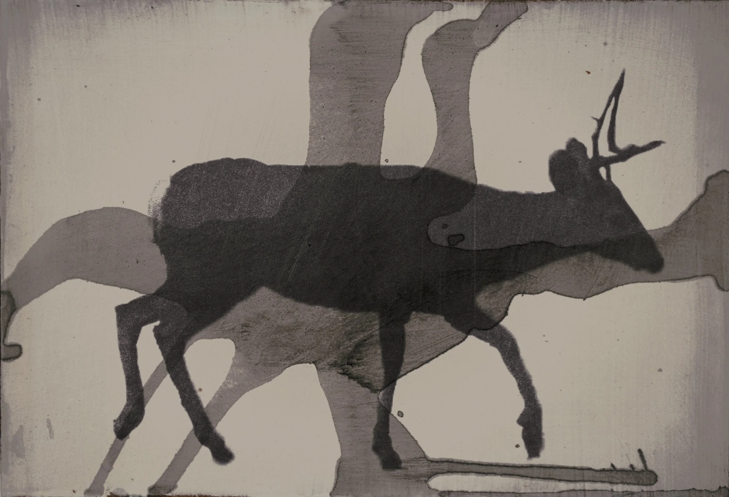 UnBound4_Holly.Roberts.Buck Dreaming12x8.jpg