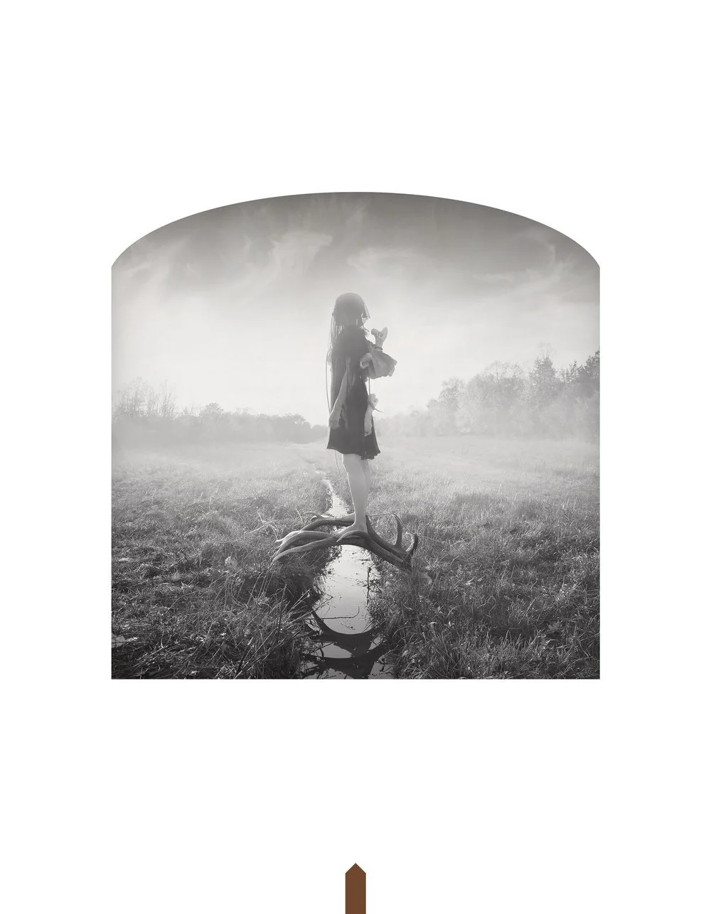 Kahn-Selesnick_100Views-99_new_dawn_fades(p).jpg
