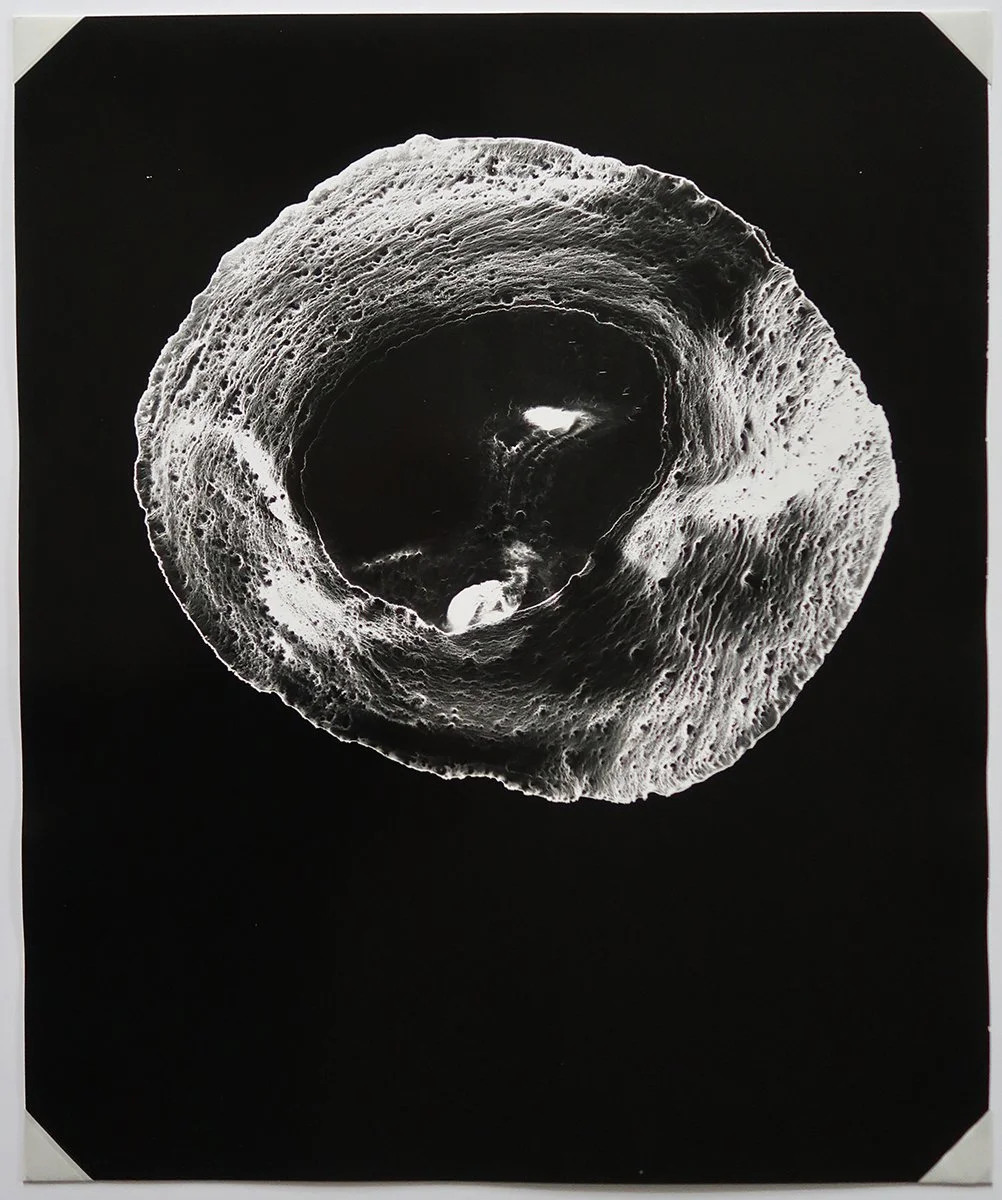 McDonald.AnneArden_Black hole 24x20.jpg