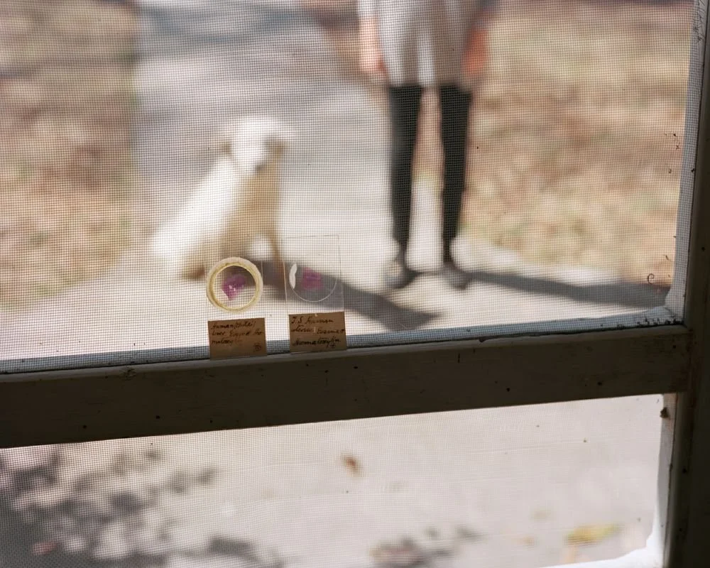 Worsham_MaudeAndNeighborsDog.jpg