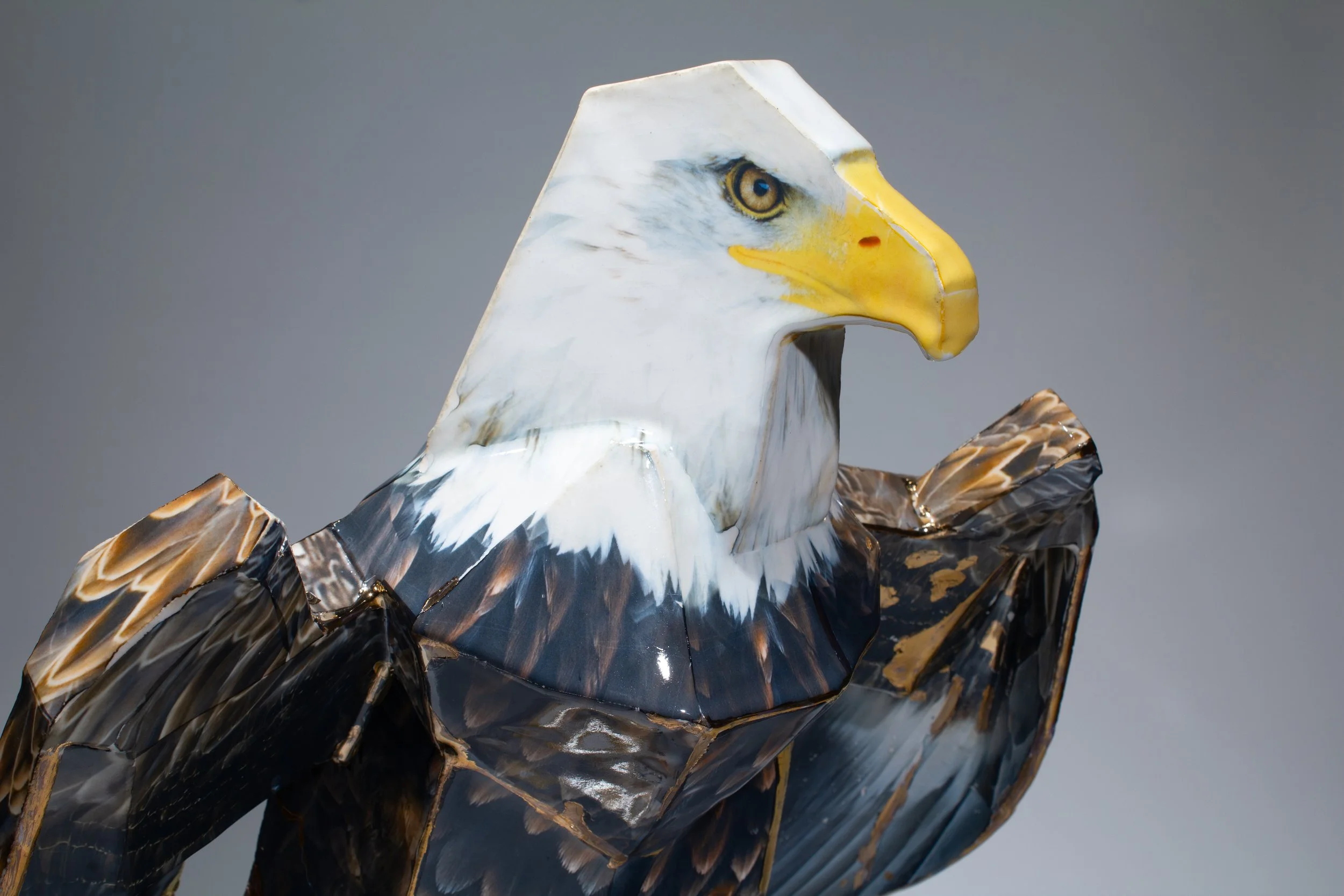 Lenker_Eagle-21.jpg