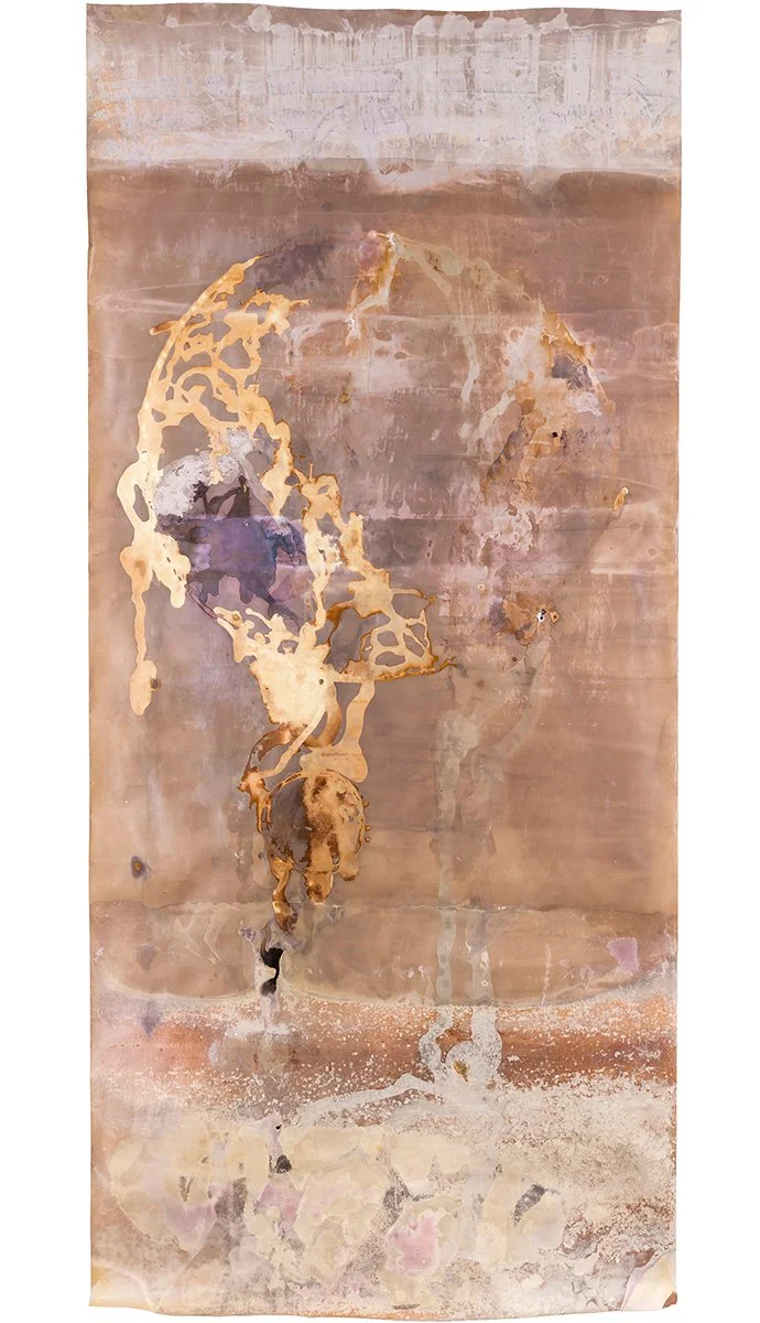 McDonald.AnneArden_SCROLL.Chemical Lumen.jpg