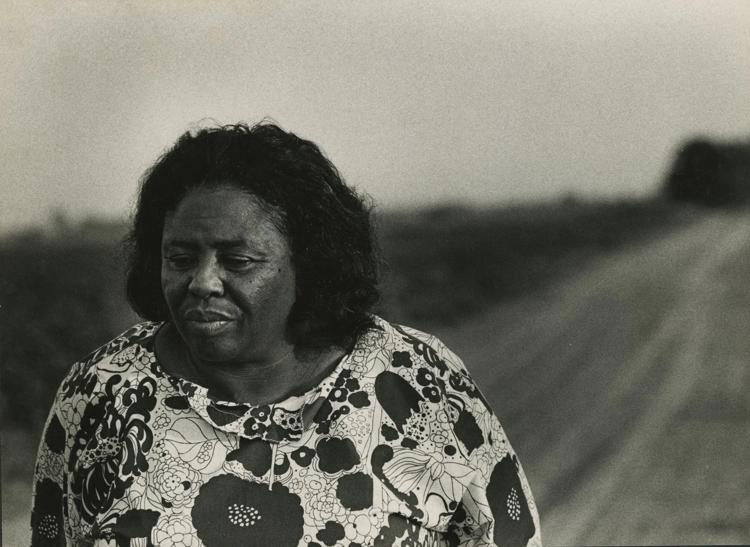 Draper.0038.FannieLouHamer.jpg