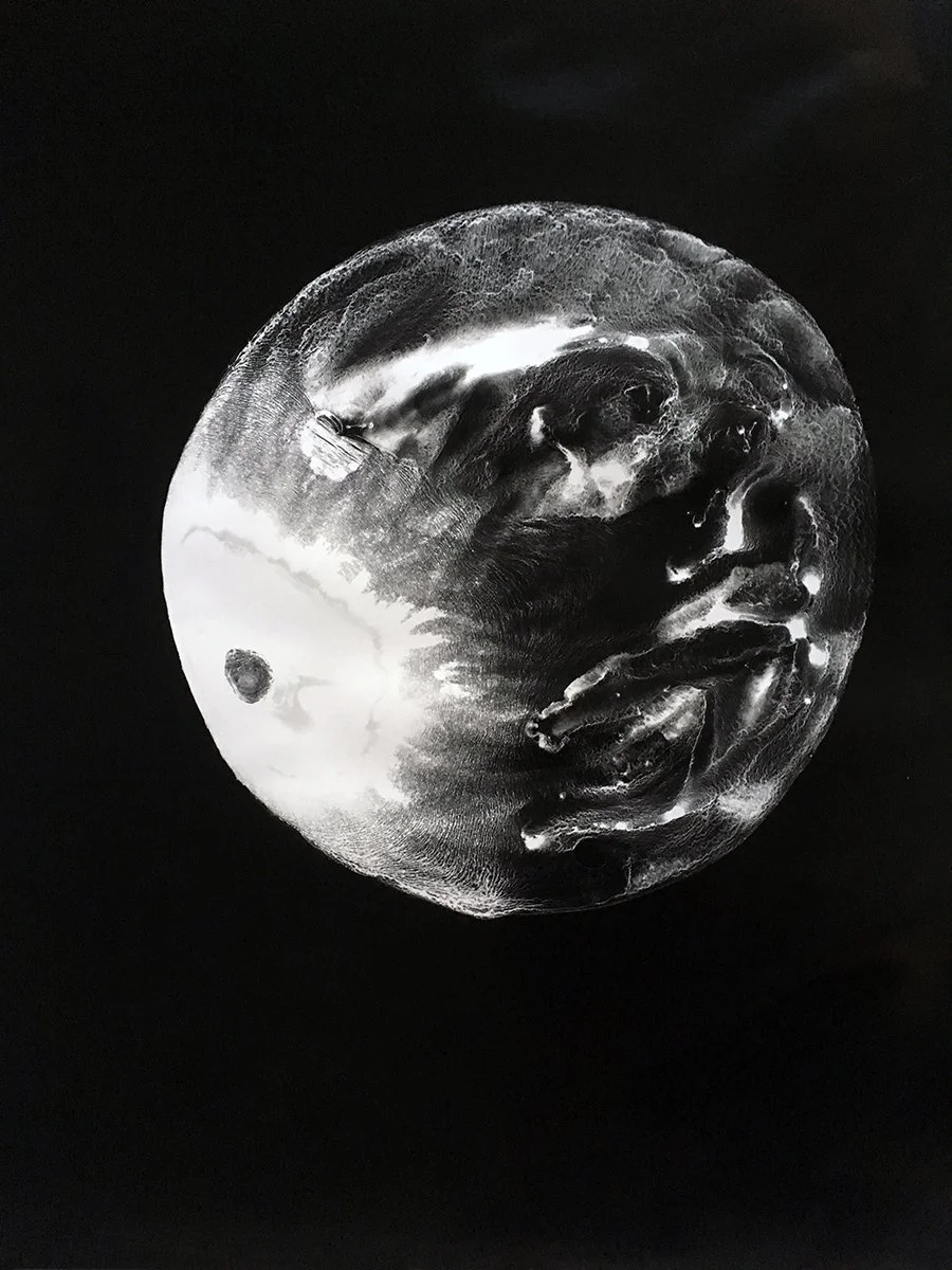 McDonald.AnneArden_Moon 38x34.jpg