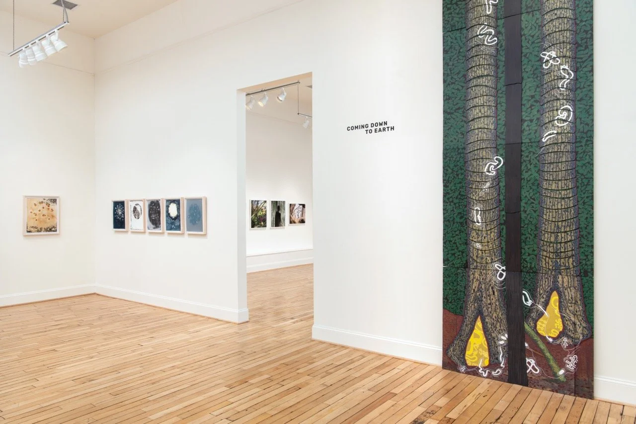 CandelaGallery-RichmondVirginia-PhotoByTerryBrown-011.jpeg